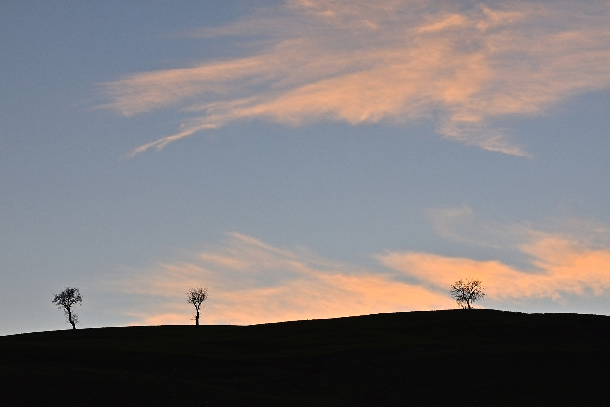 The long, the short, the Pacioccone