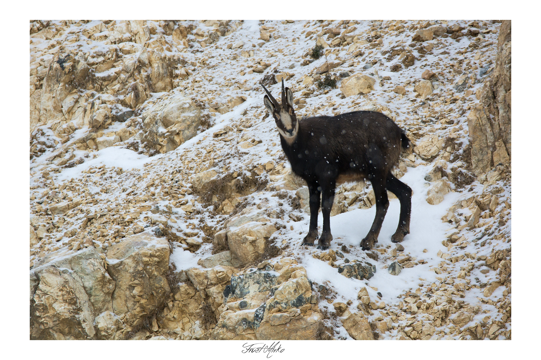 In una giornata nevosa...
