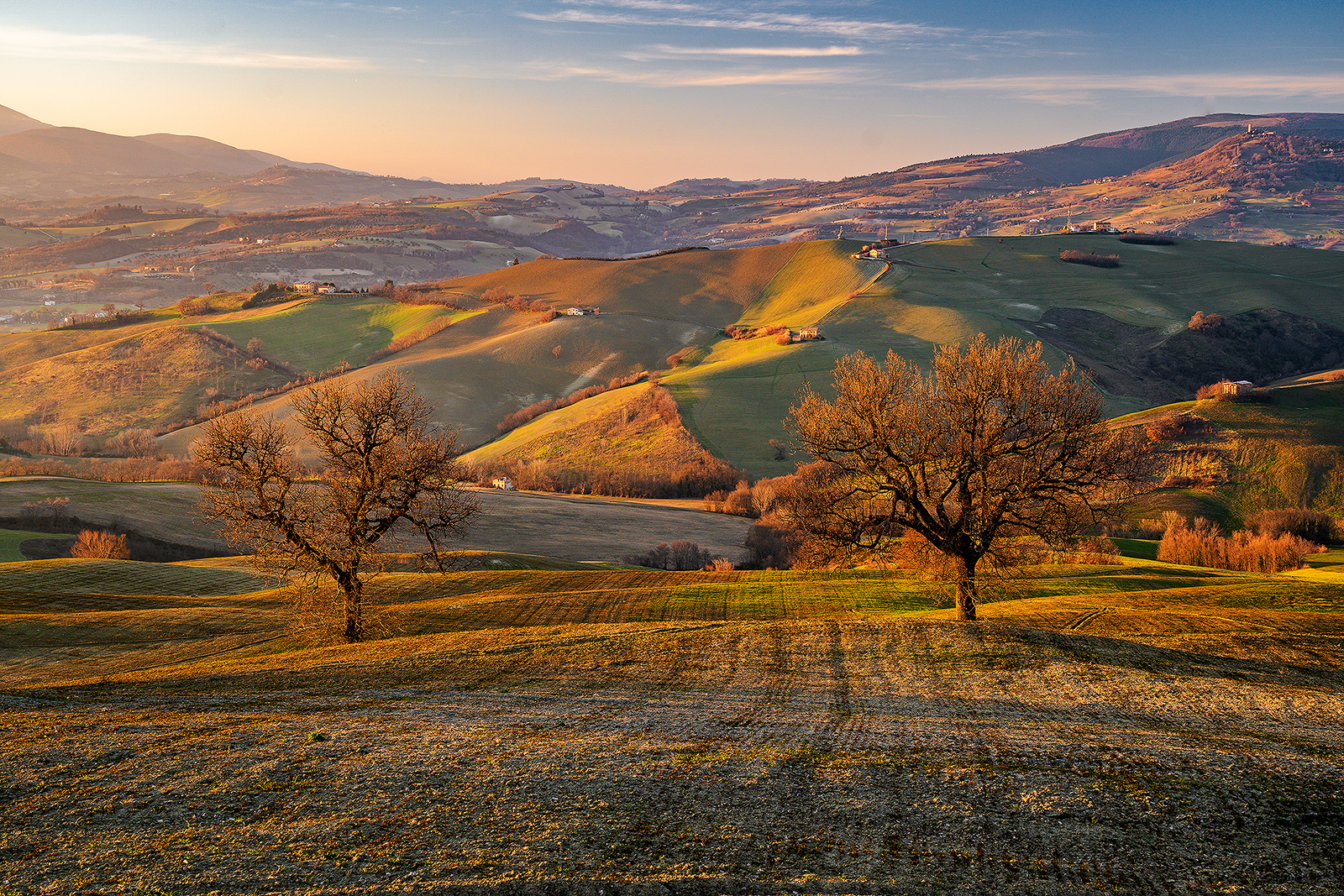 campagna marchigiana