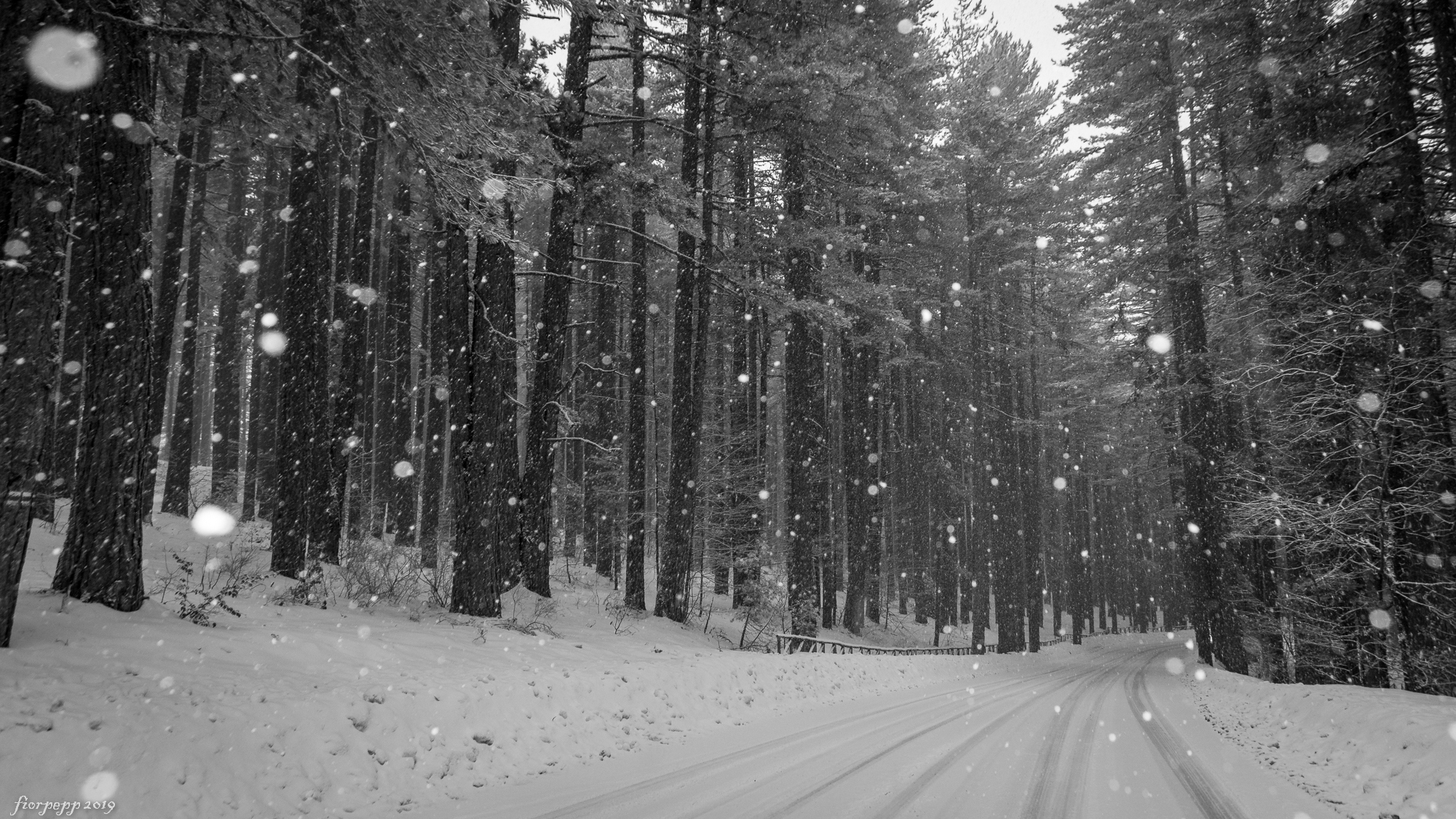 Camigliatello Sila (cs)