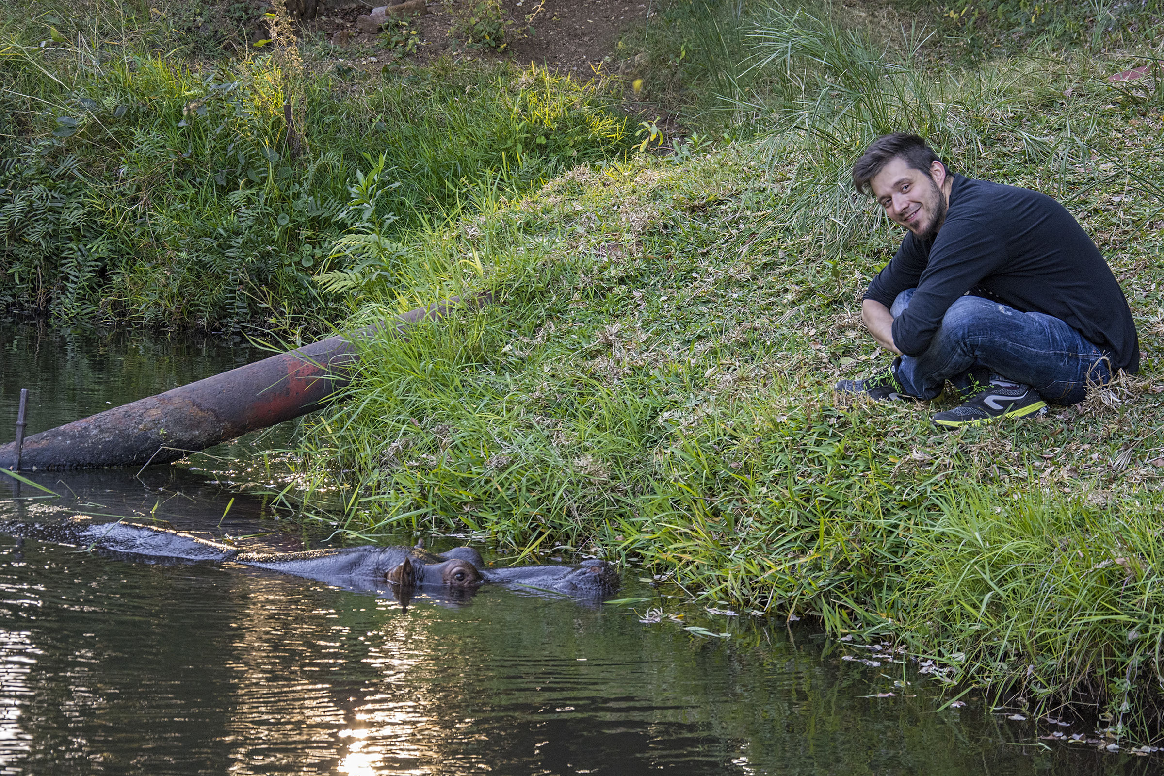 Seduto in riva al fosso