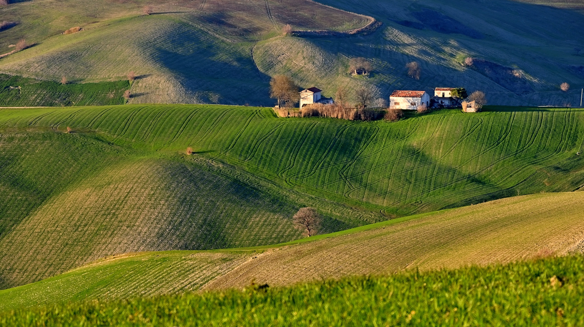 La Natura si Risveglia