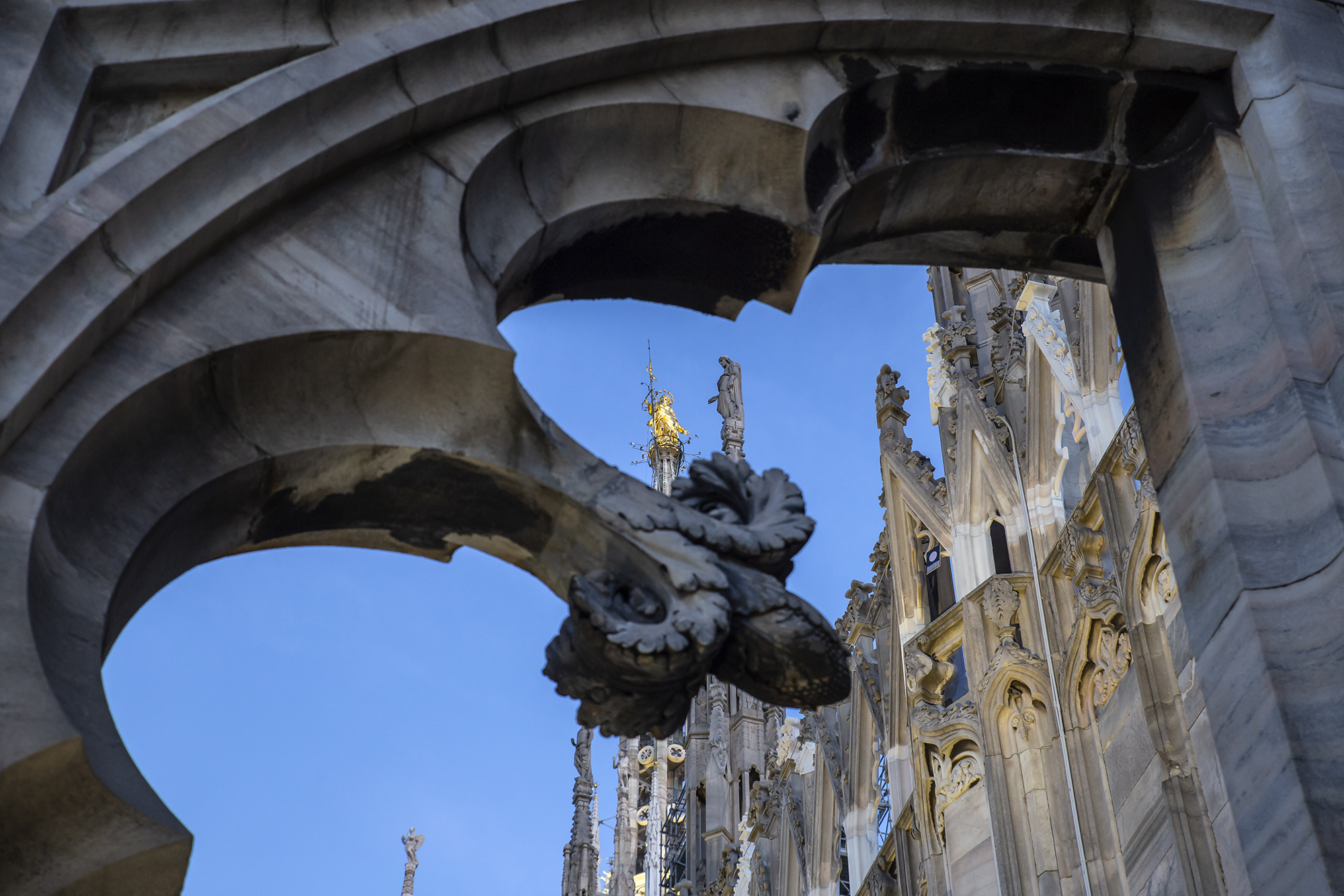 Salita al Duomo di Milano