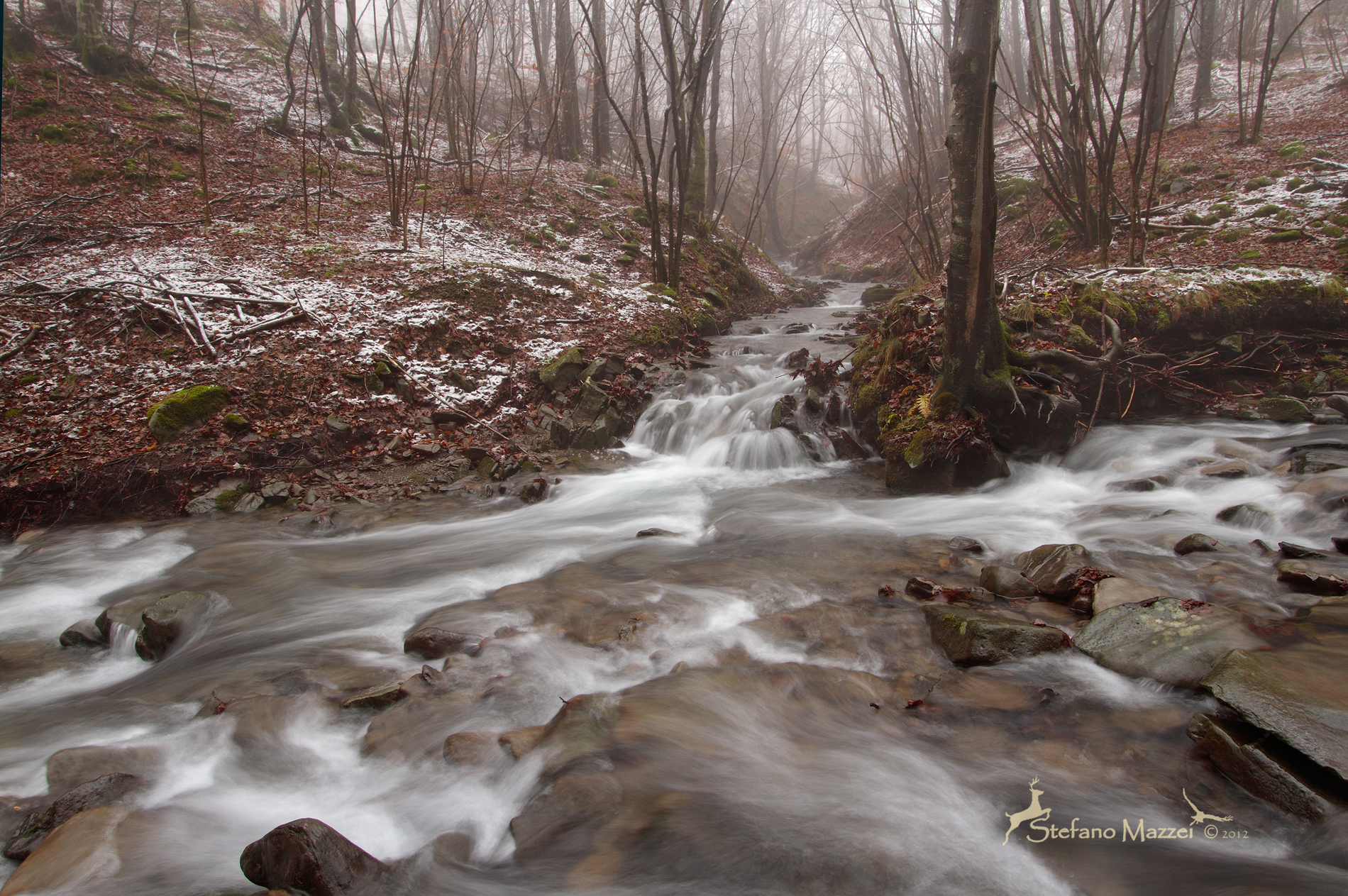 Fra Autunno e Inverno ...