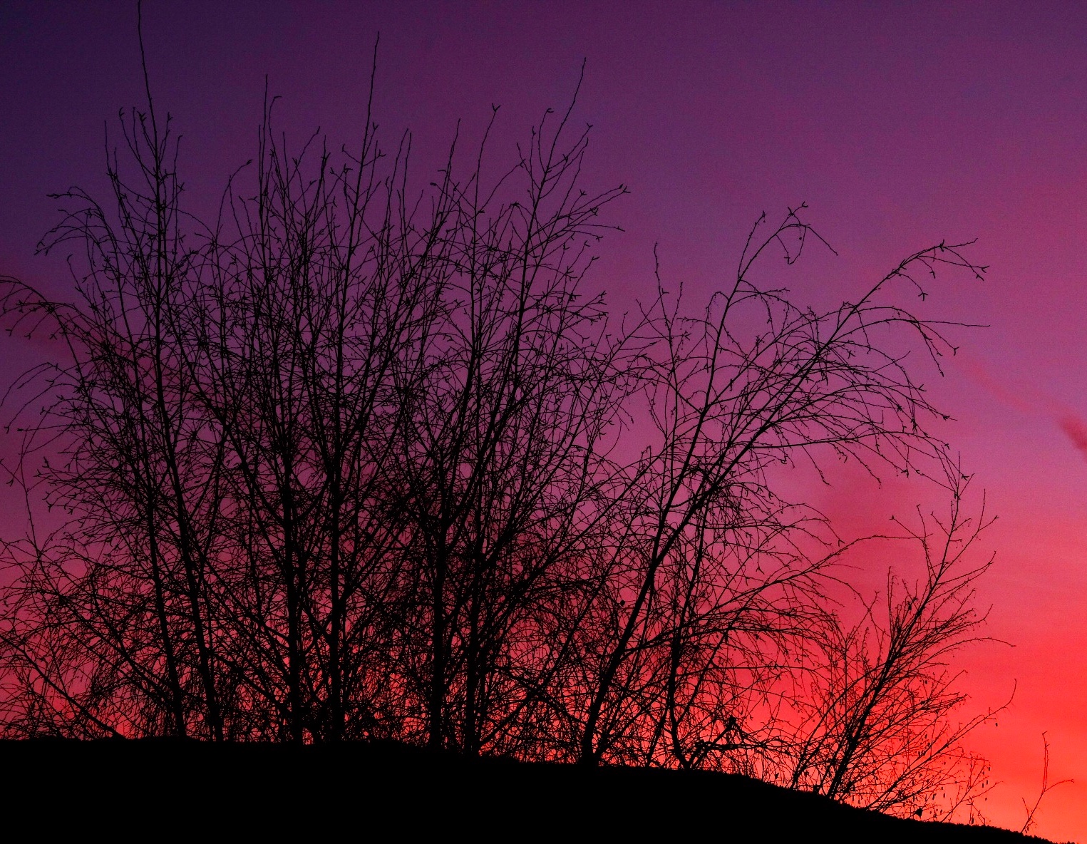 Extemporaneous Sunsets