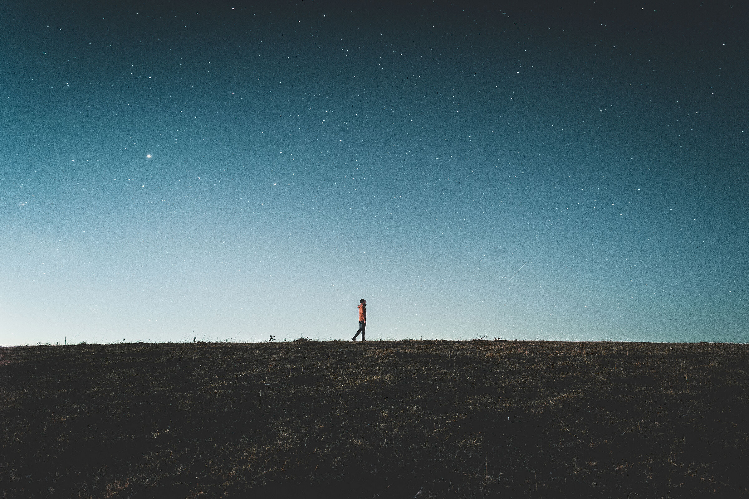 Under a sea of stars