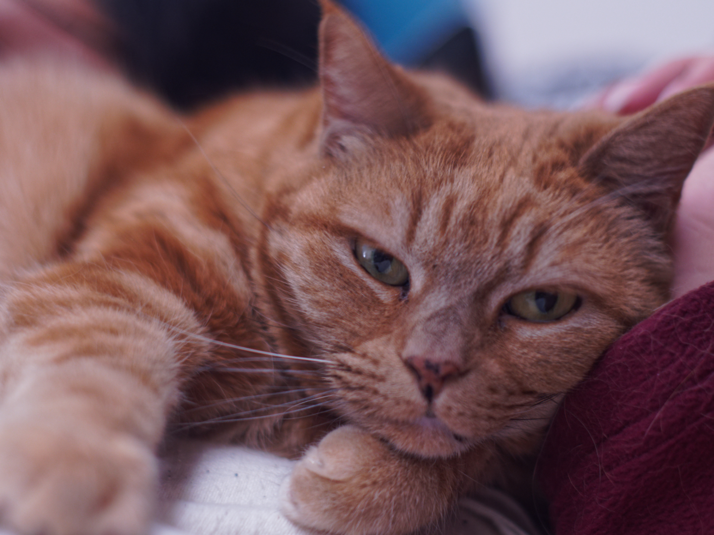 Fanta II - sviluppata con DxO