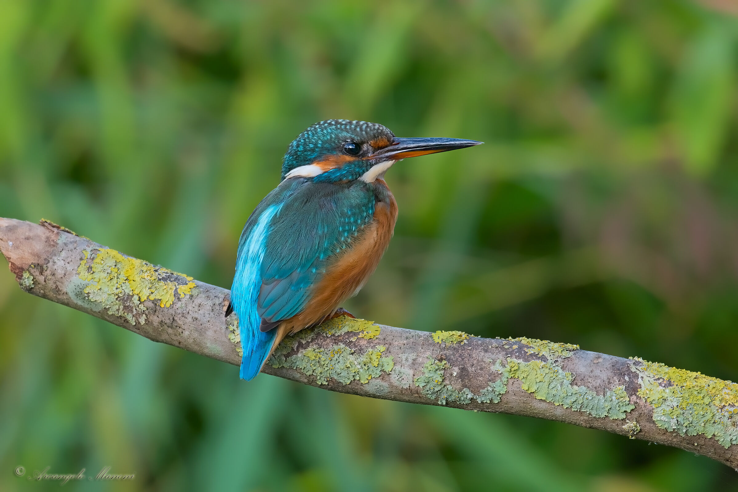 A Martina visiting the cabin