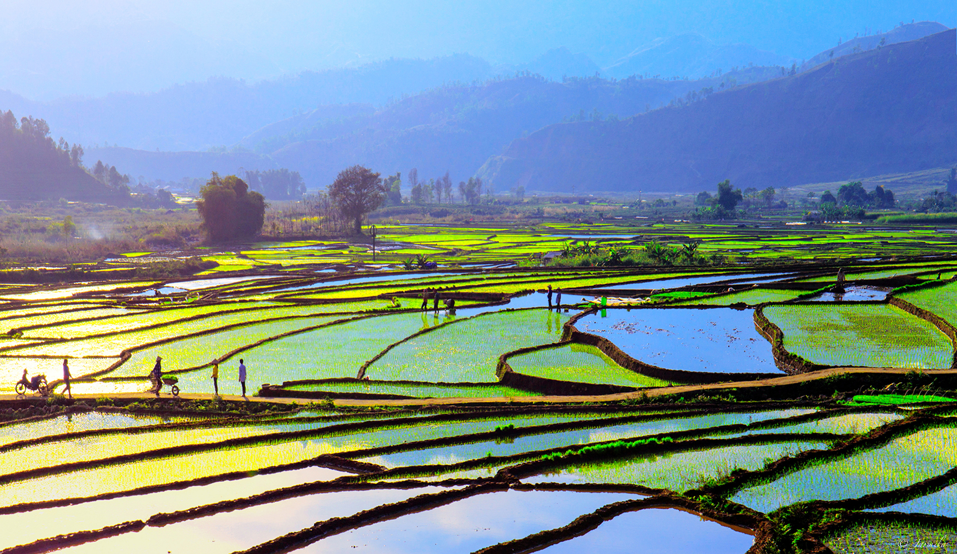 Vietnamese farmers create many beauties in the