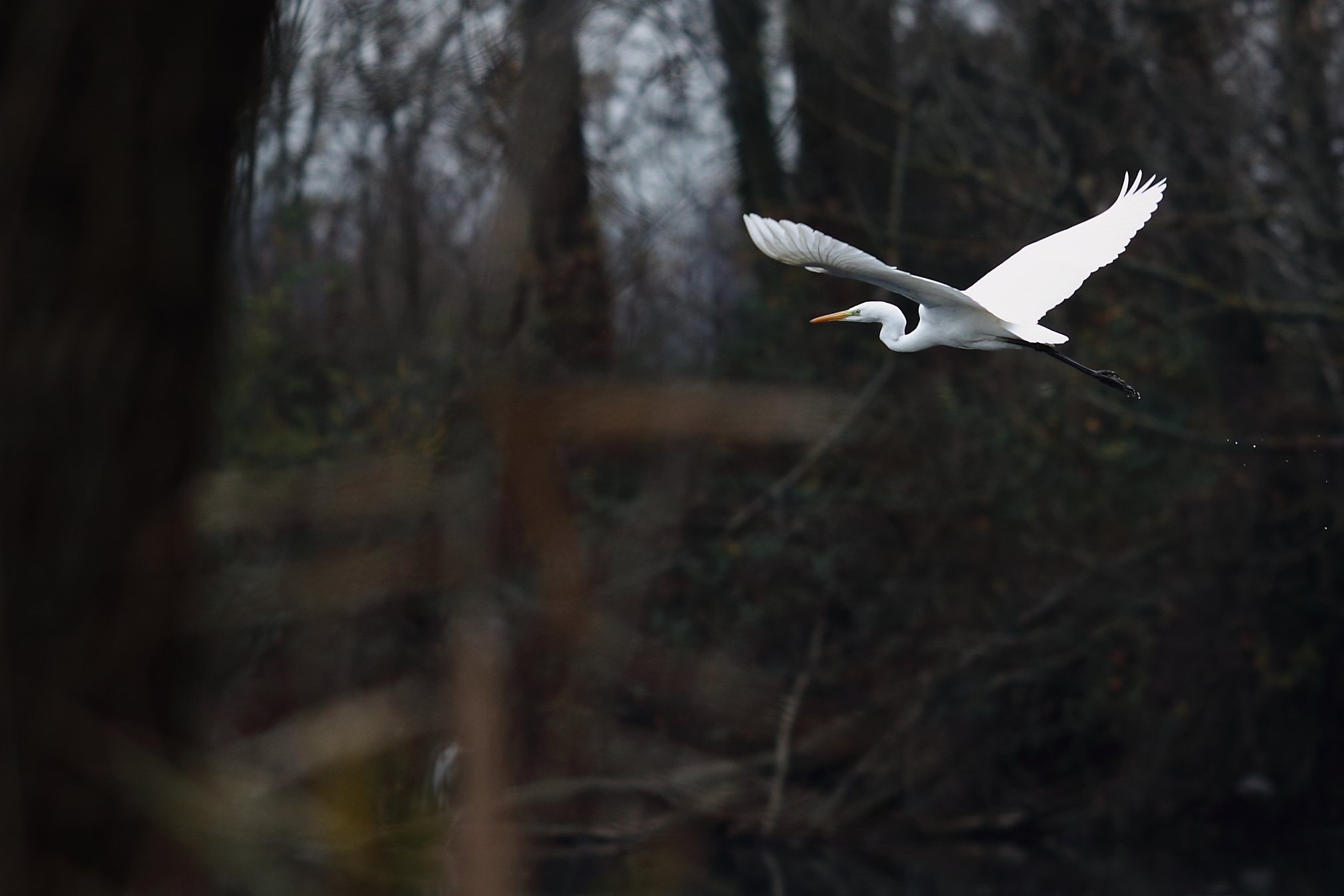 property ... but not enough