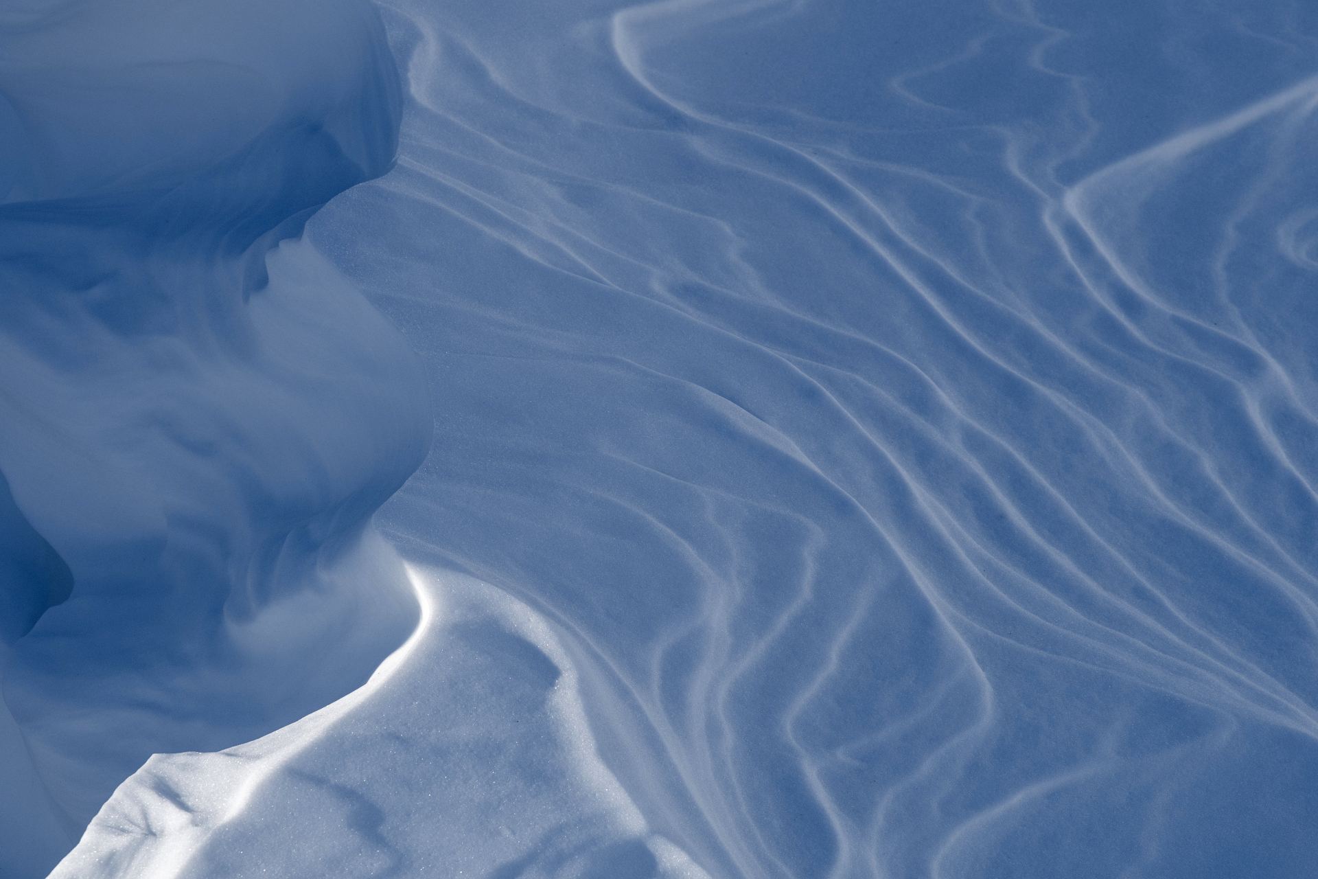 The old man and the sea... of snow