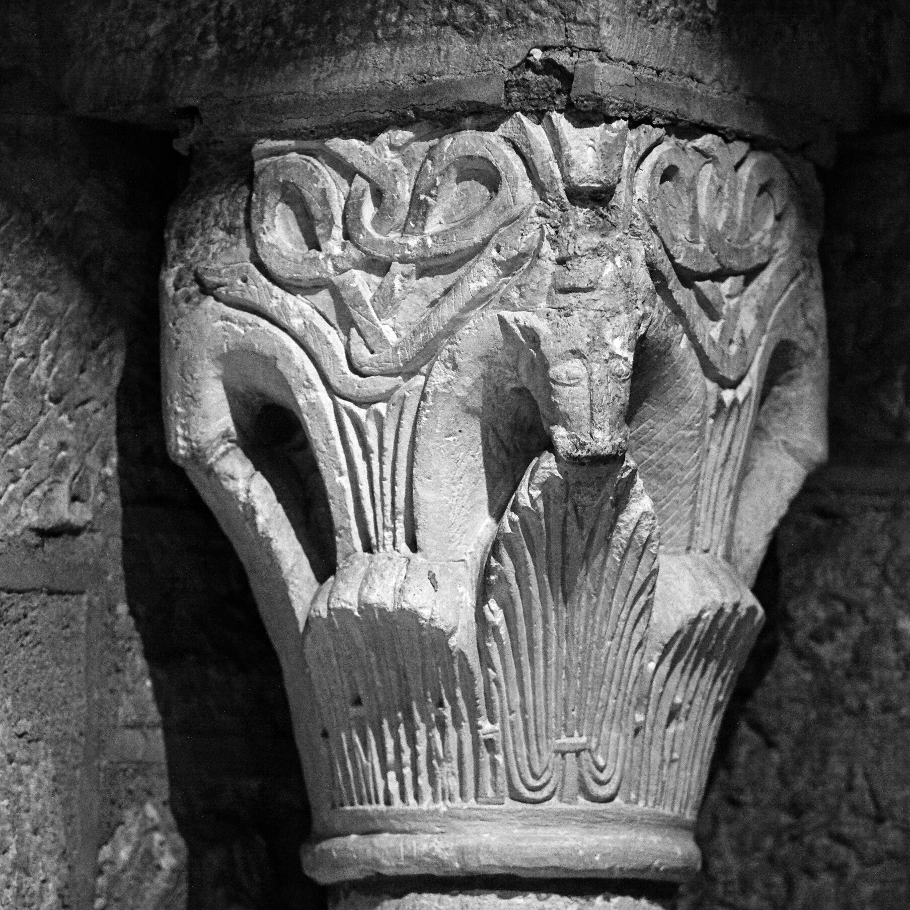 Serpenti e un bovino nella rotonda Saint Bénigne a Di...