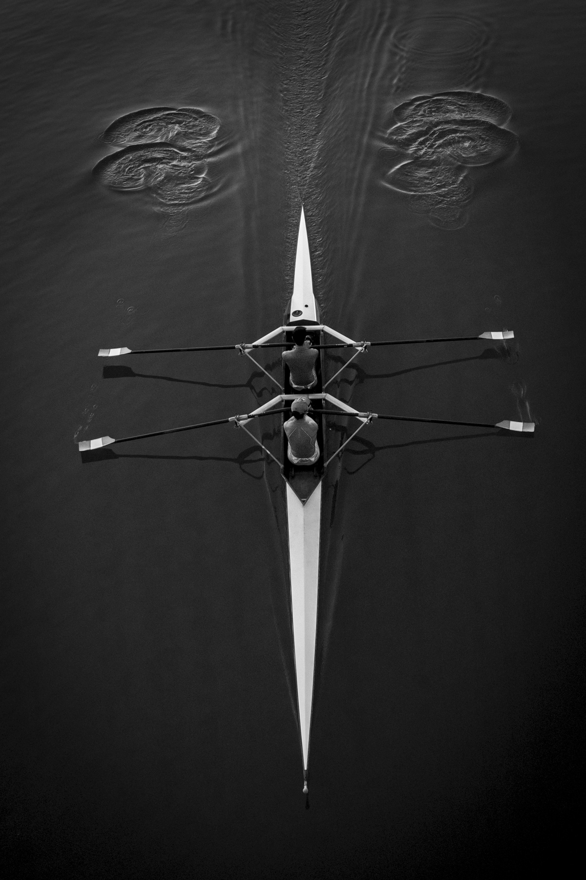 Canottieri nell'Arno