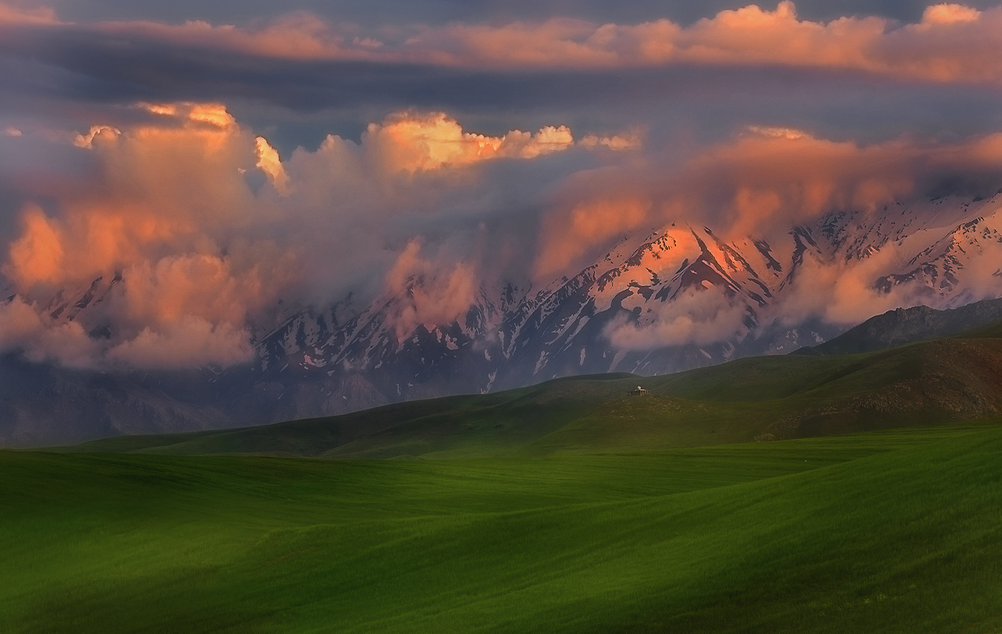 primavera spettacolo