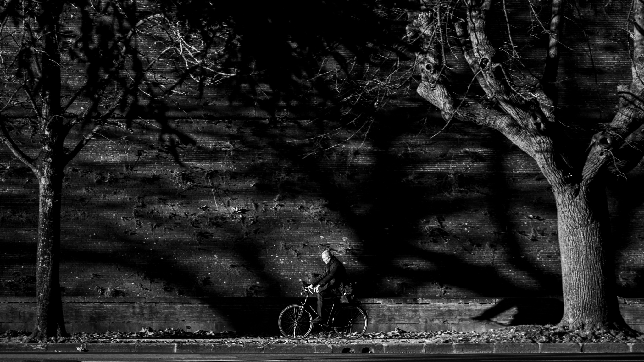 Project in Shadow 03