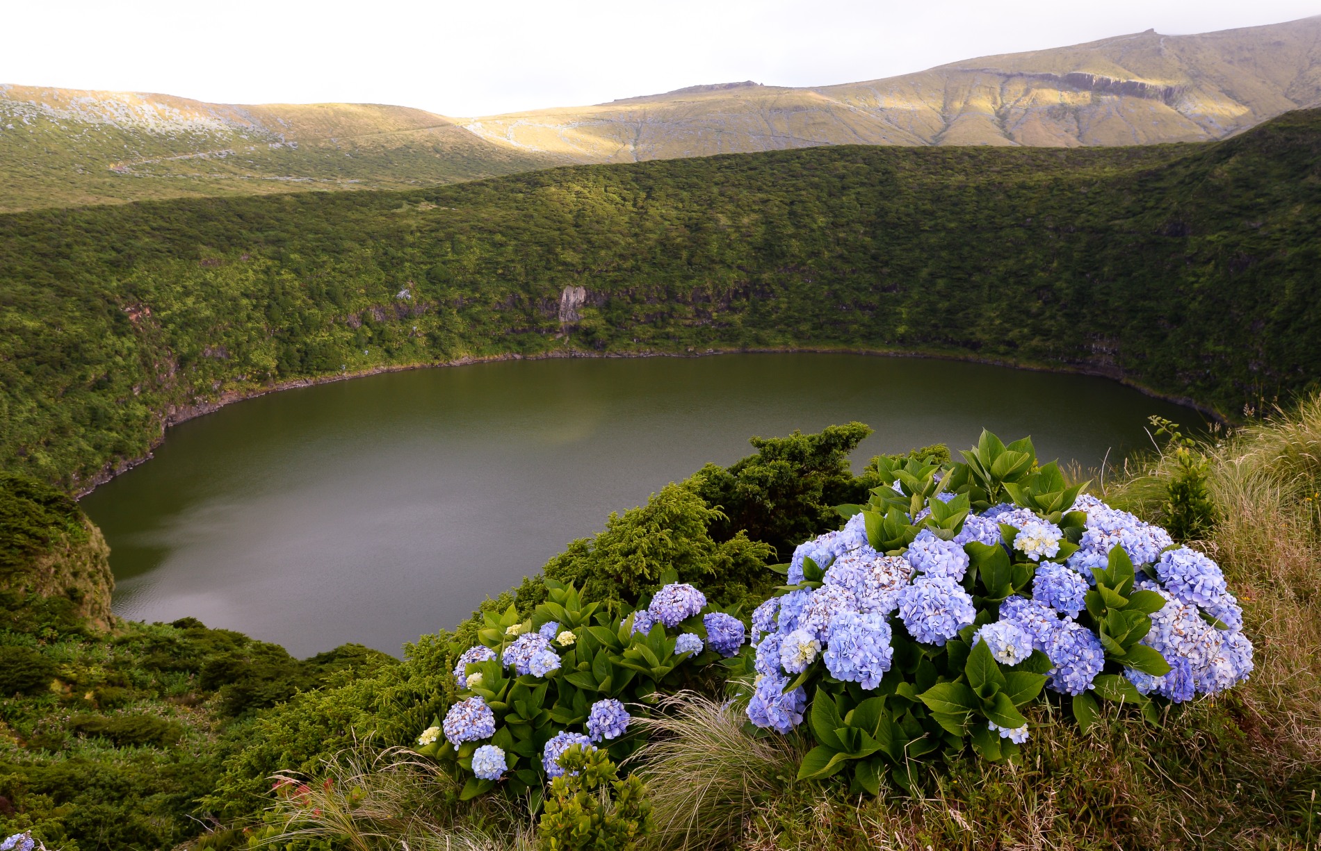 Flores, Acores