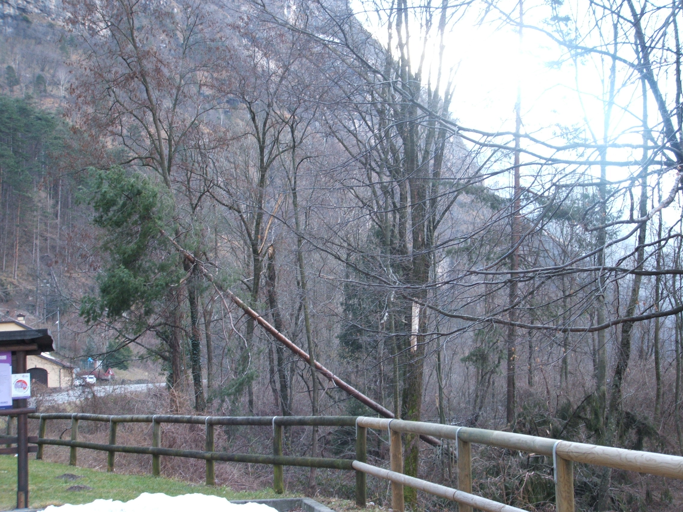 Still damage in Agordino