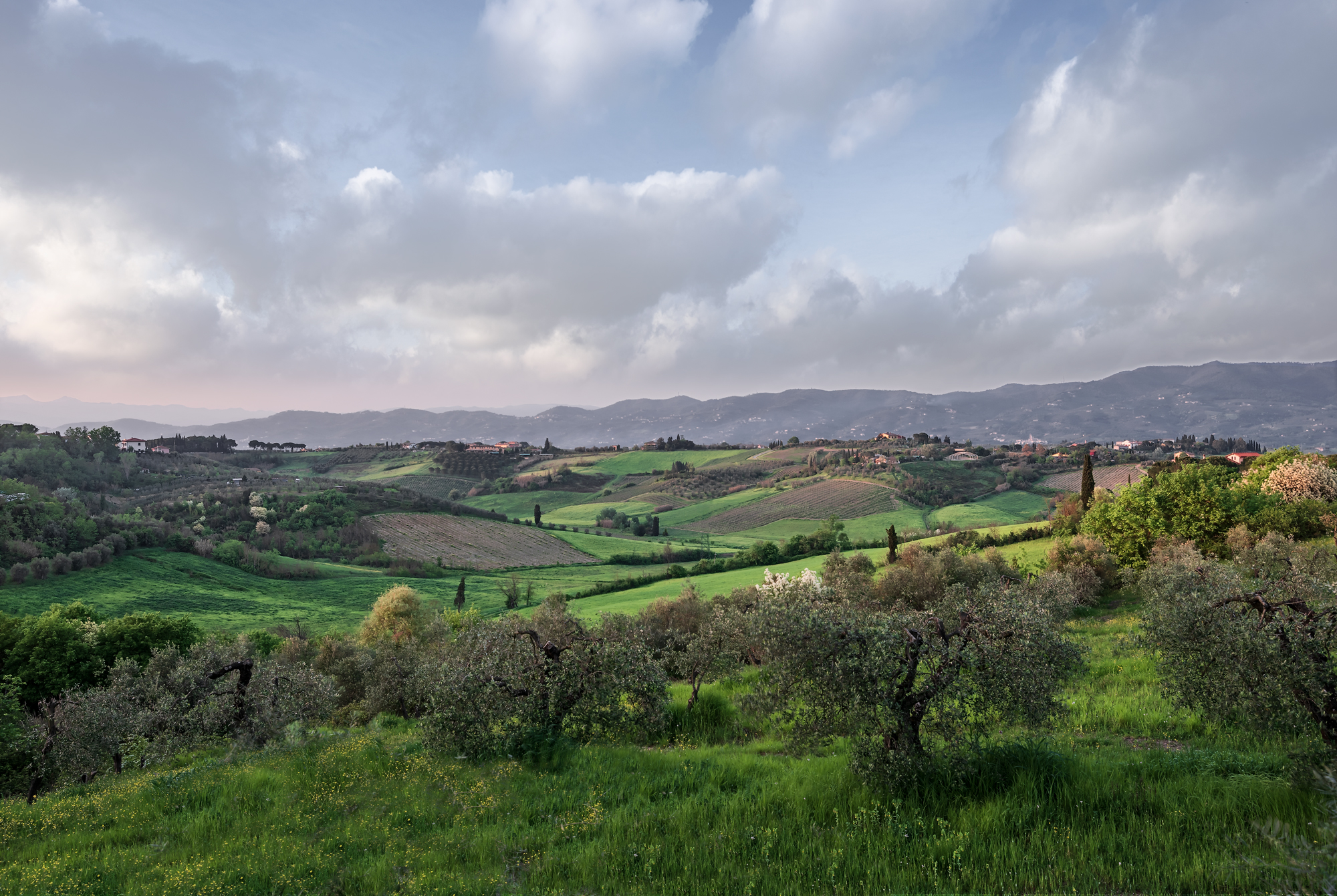 Un panorama nei dintorni di Vinci