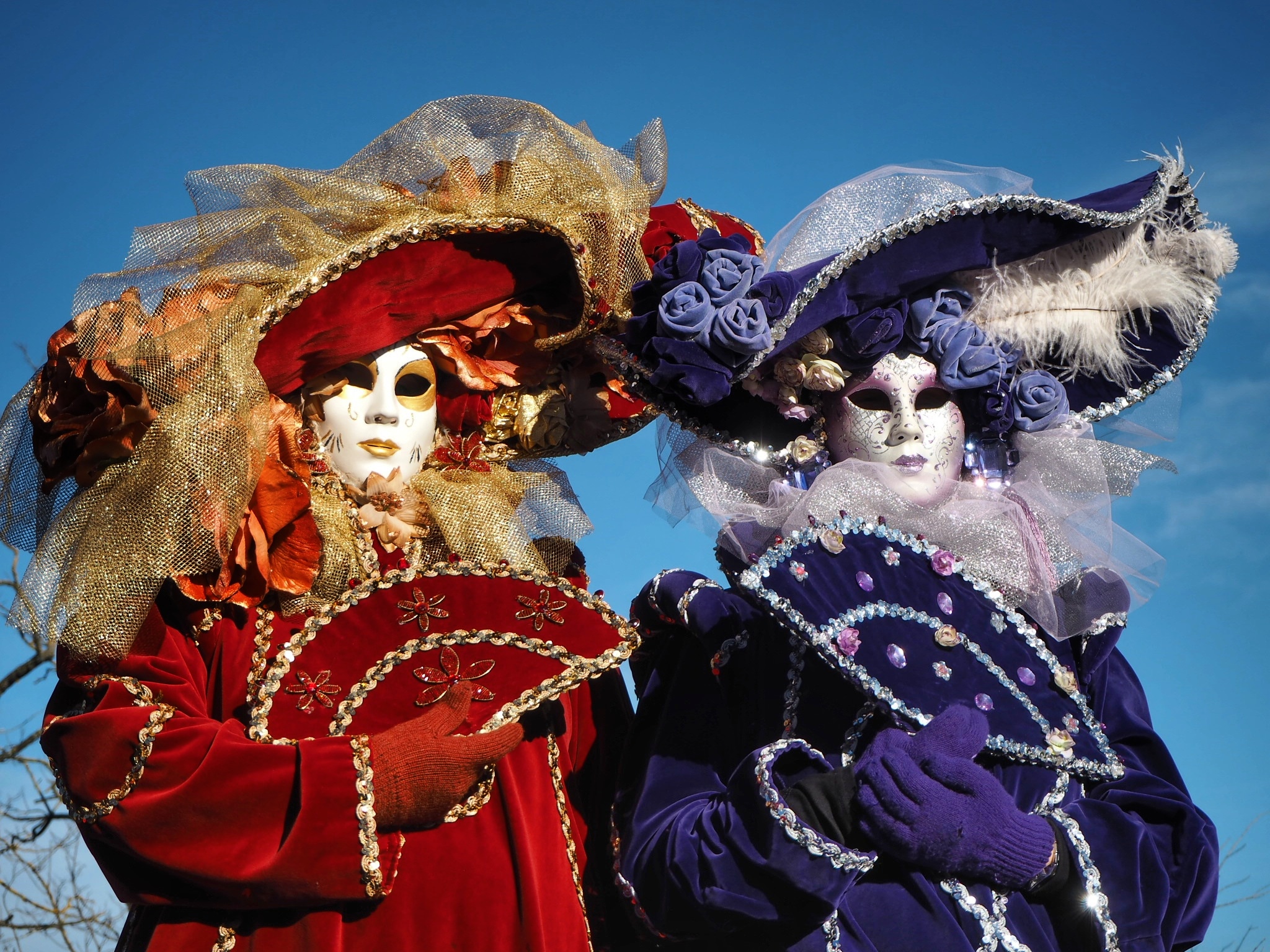 Carnival of the Sons of Bocco