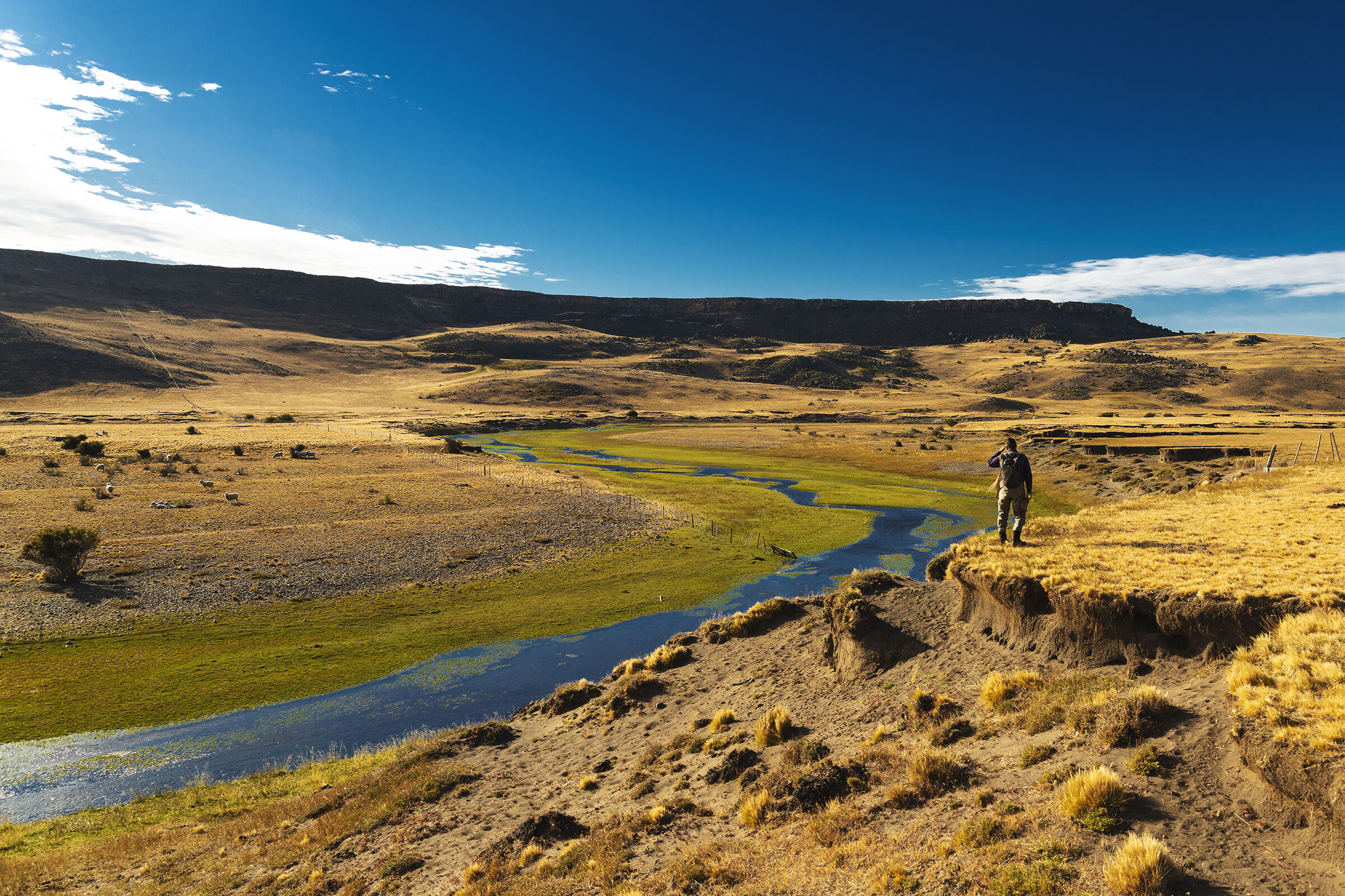 Exploring Gallegos