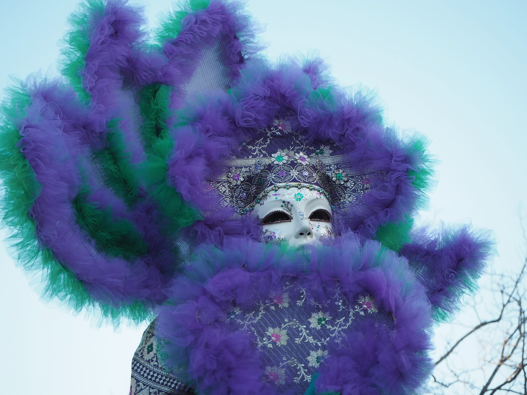 Carnival of the Sons of Bocco