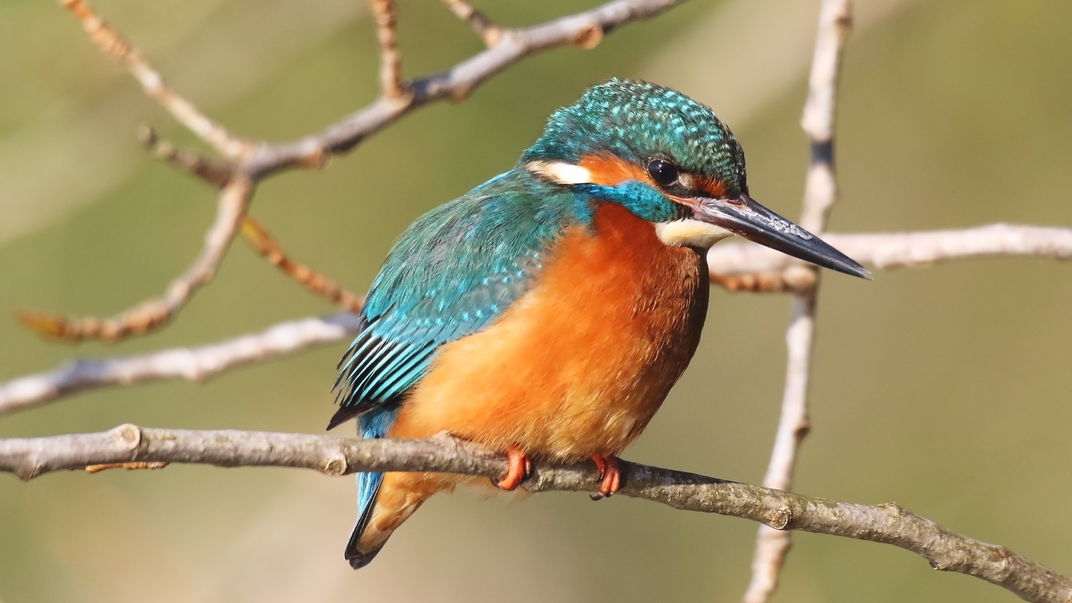 Vedo che succede....