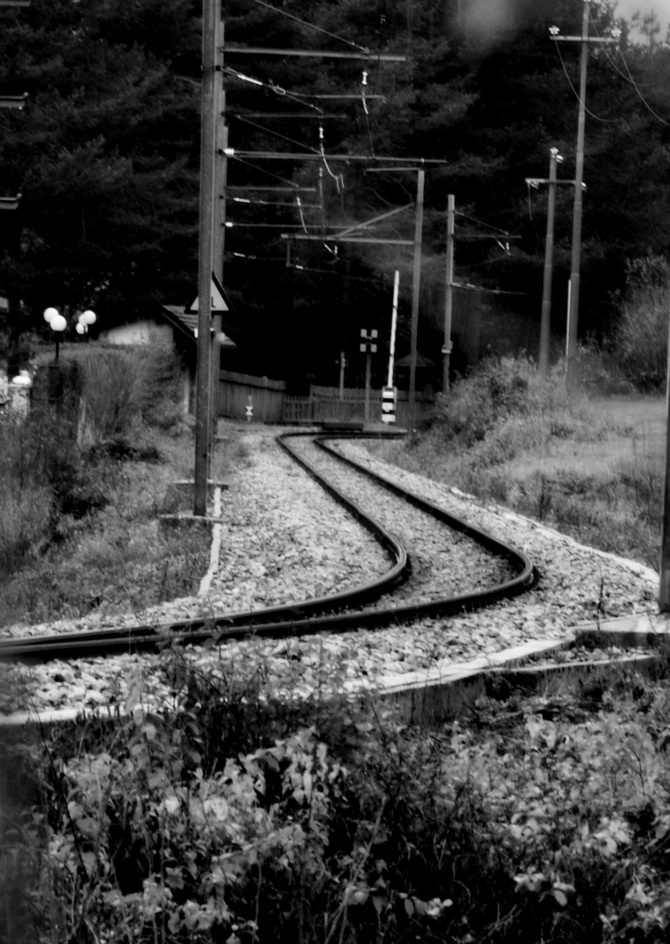 Così è la vita....