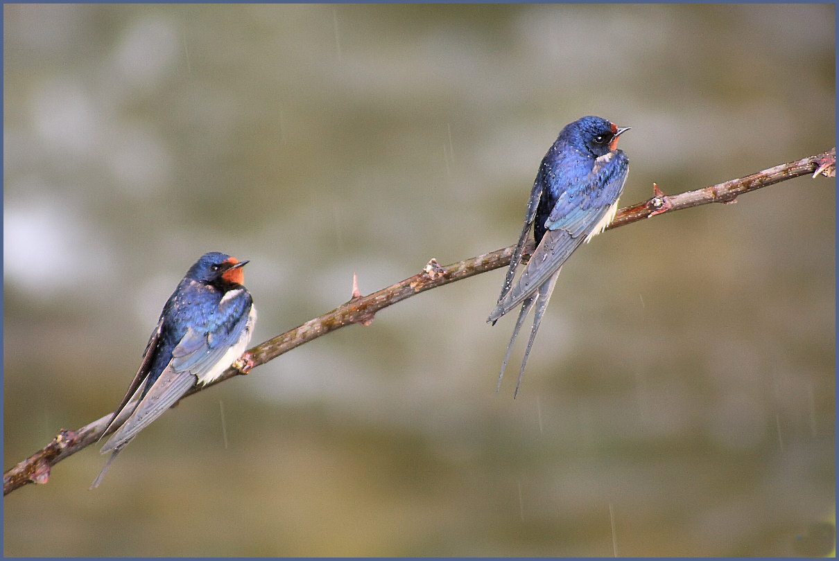 .. That bad weather ....