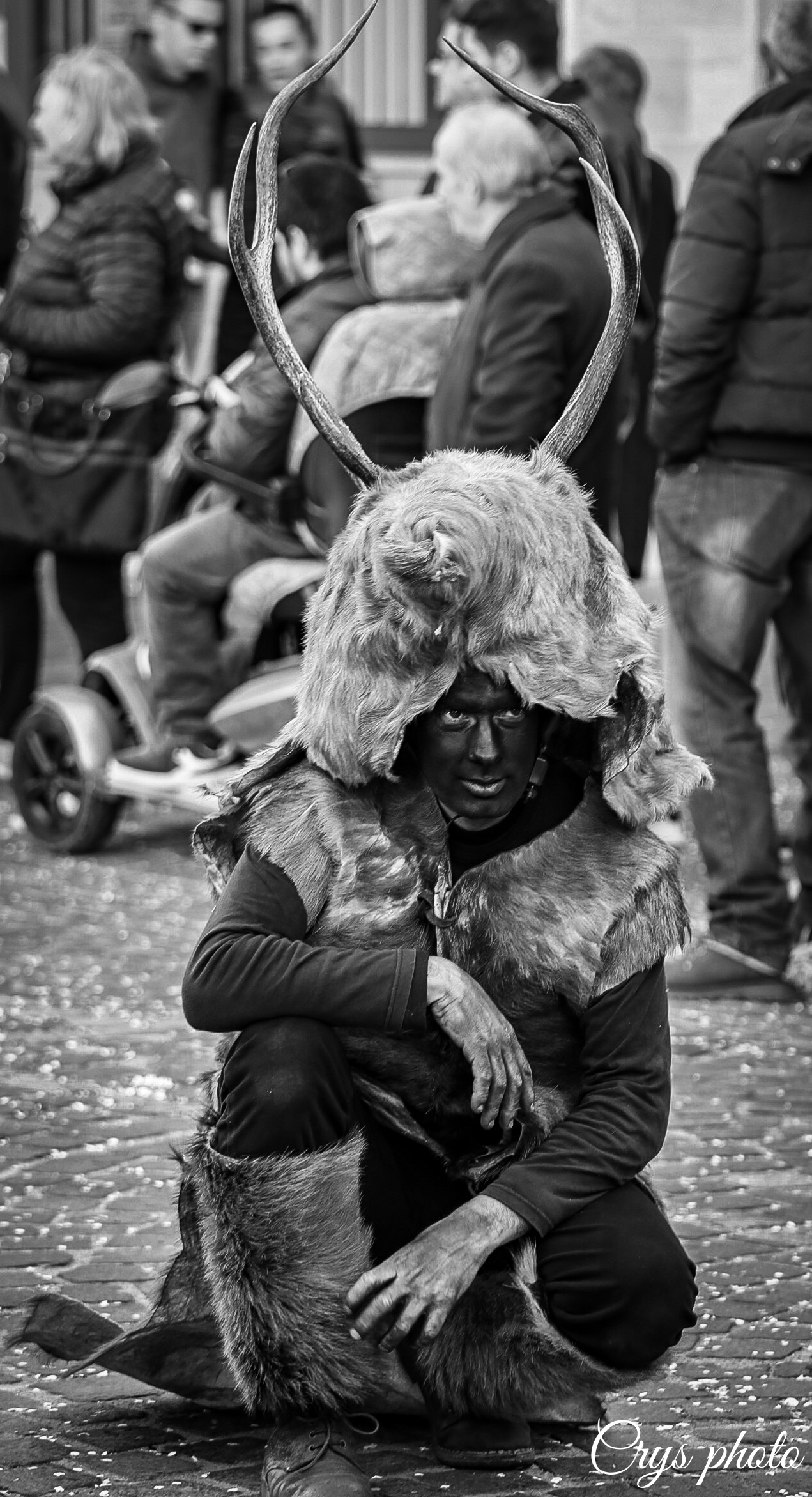 The Cerbus of Sinnai