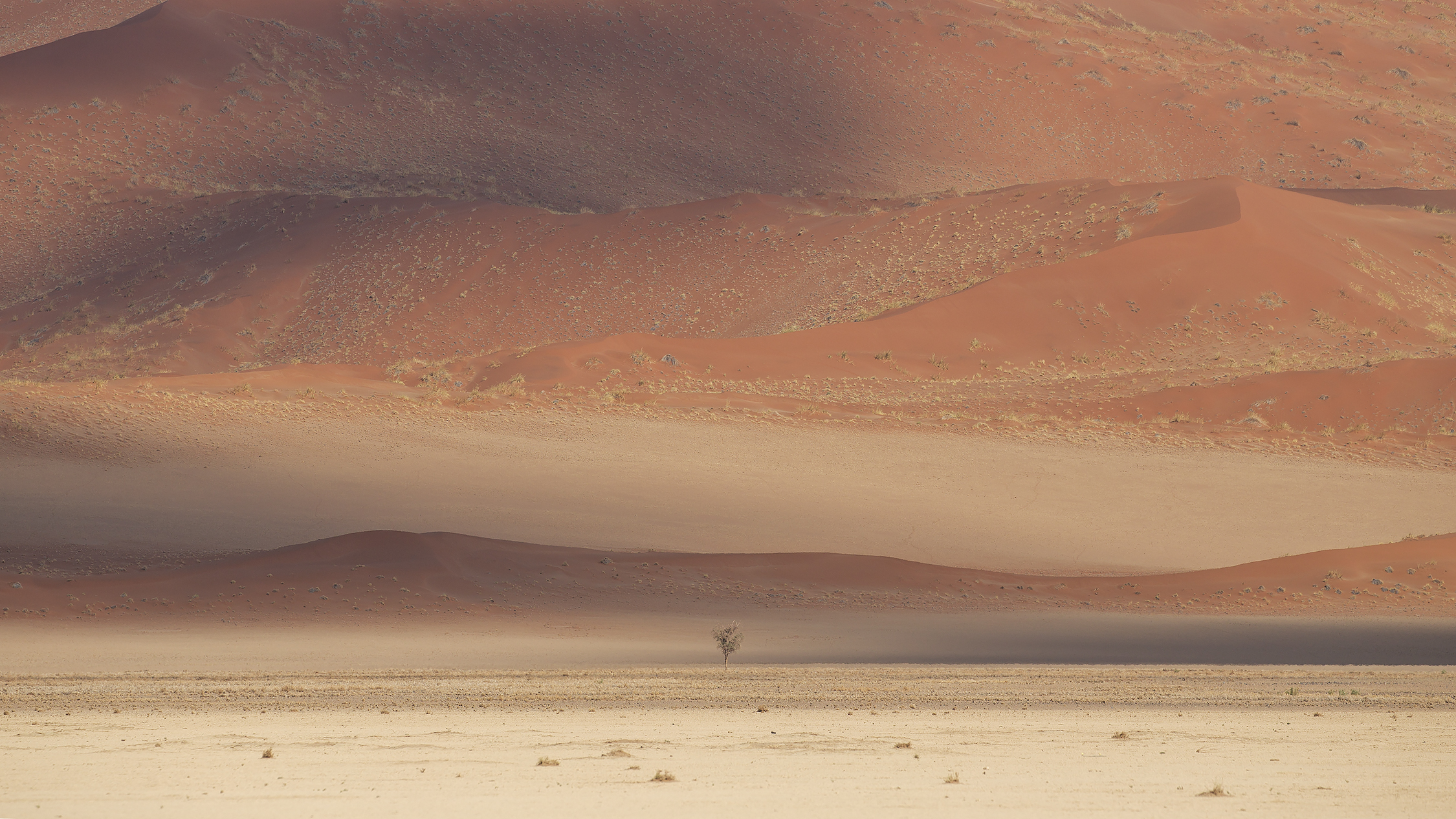 Namib dune
