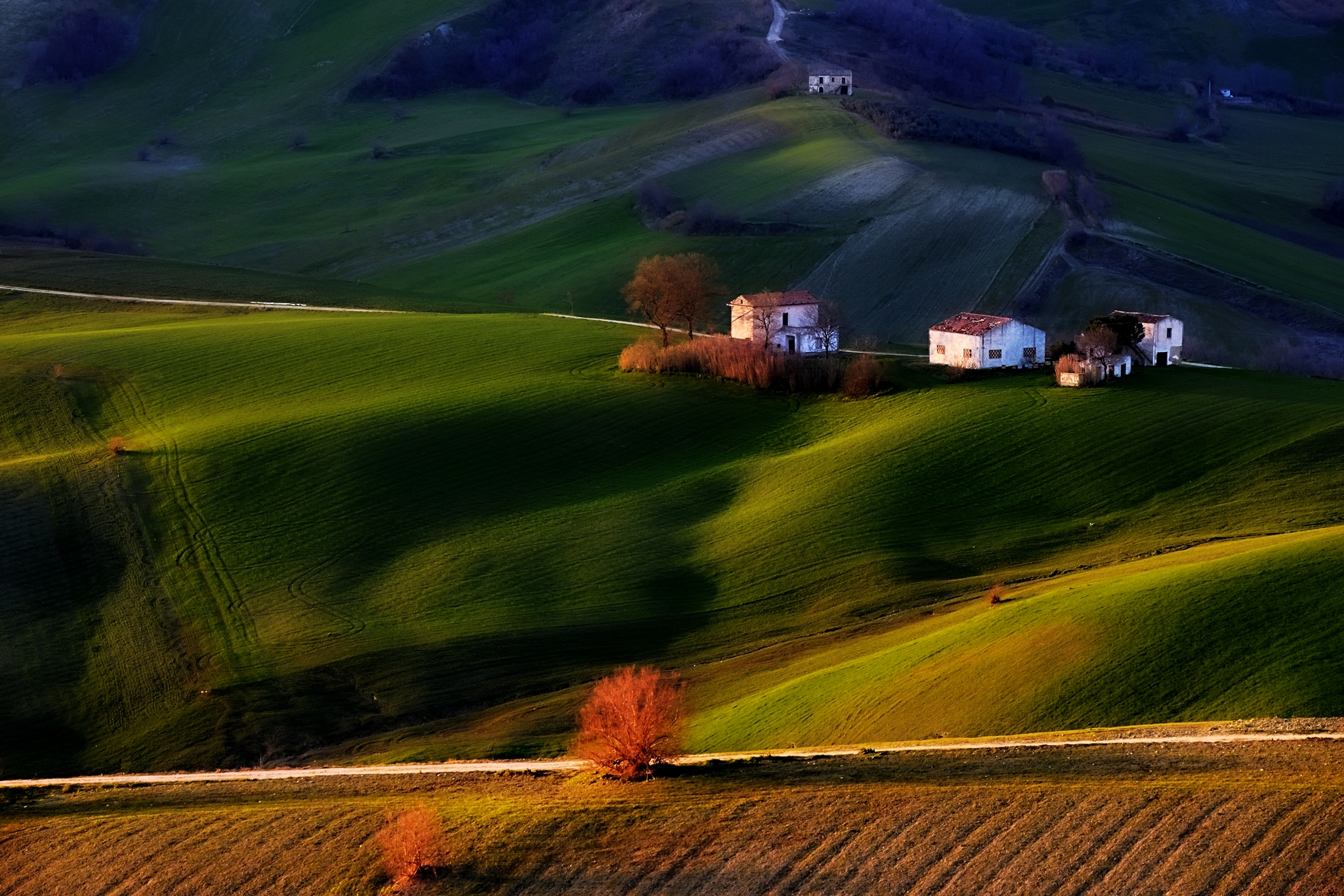 Colline Vellutate