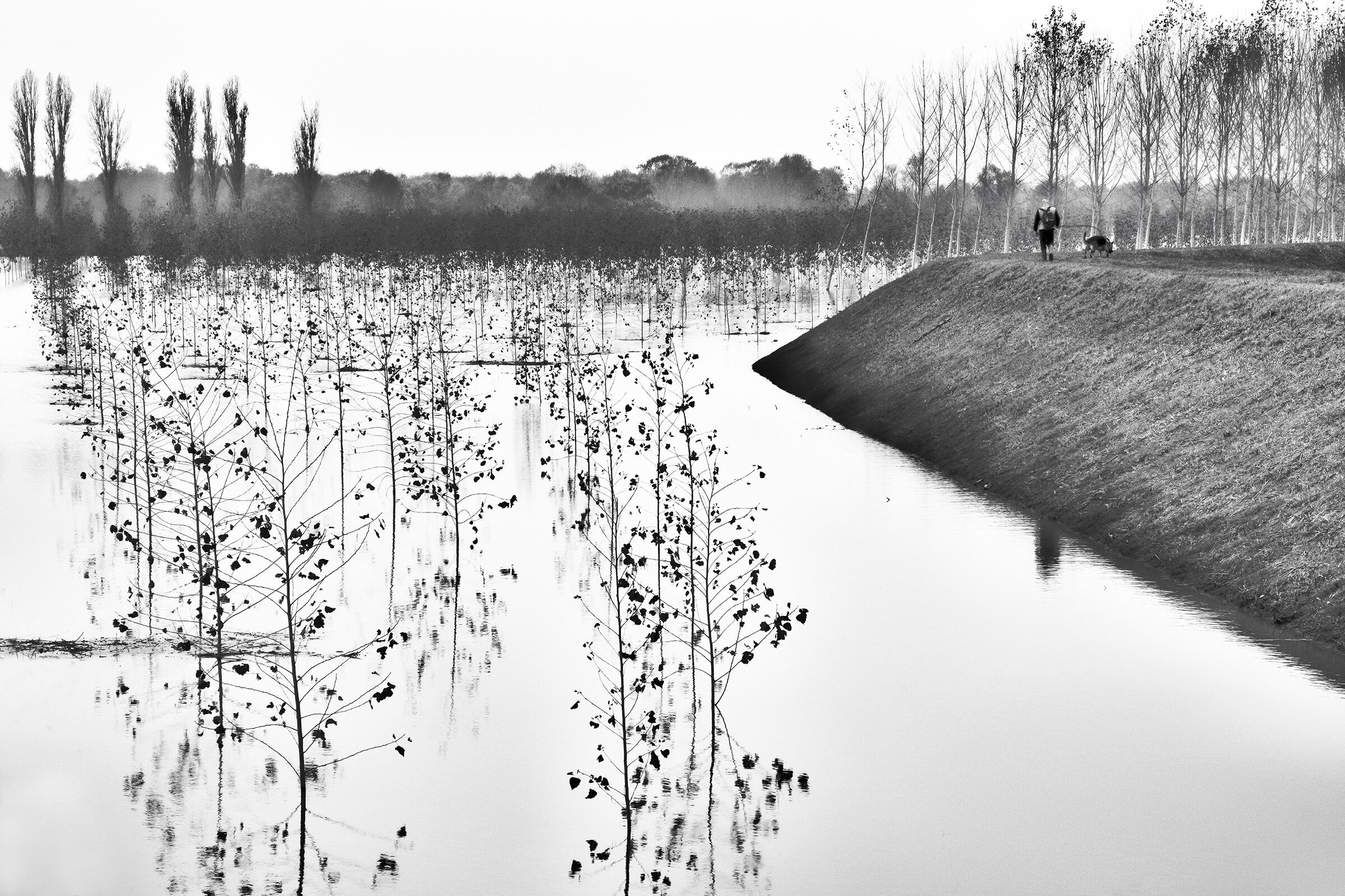 With the Loyal friend