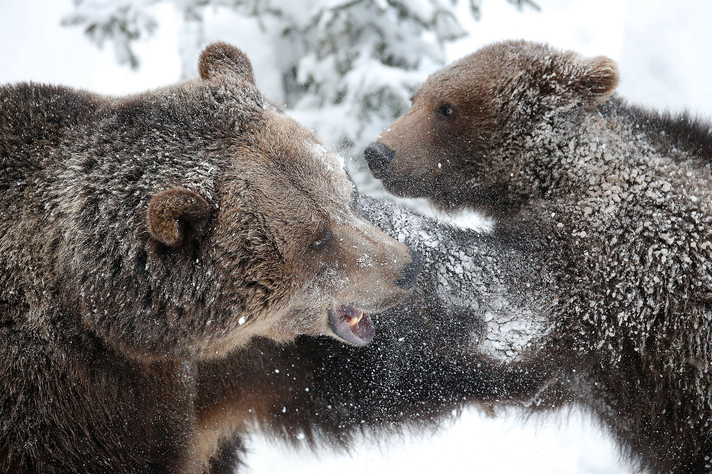 Un bel gioco... dura poco
