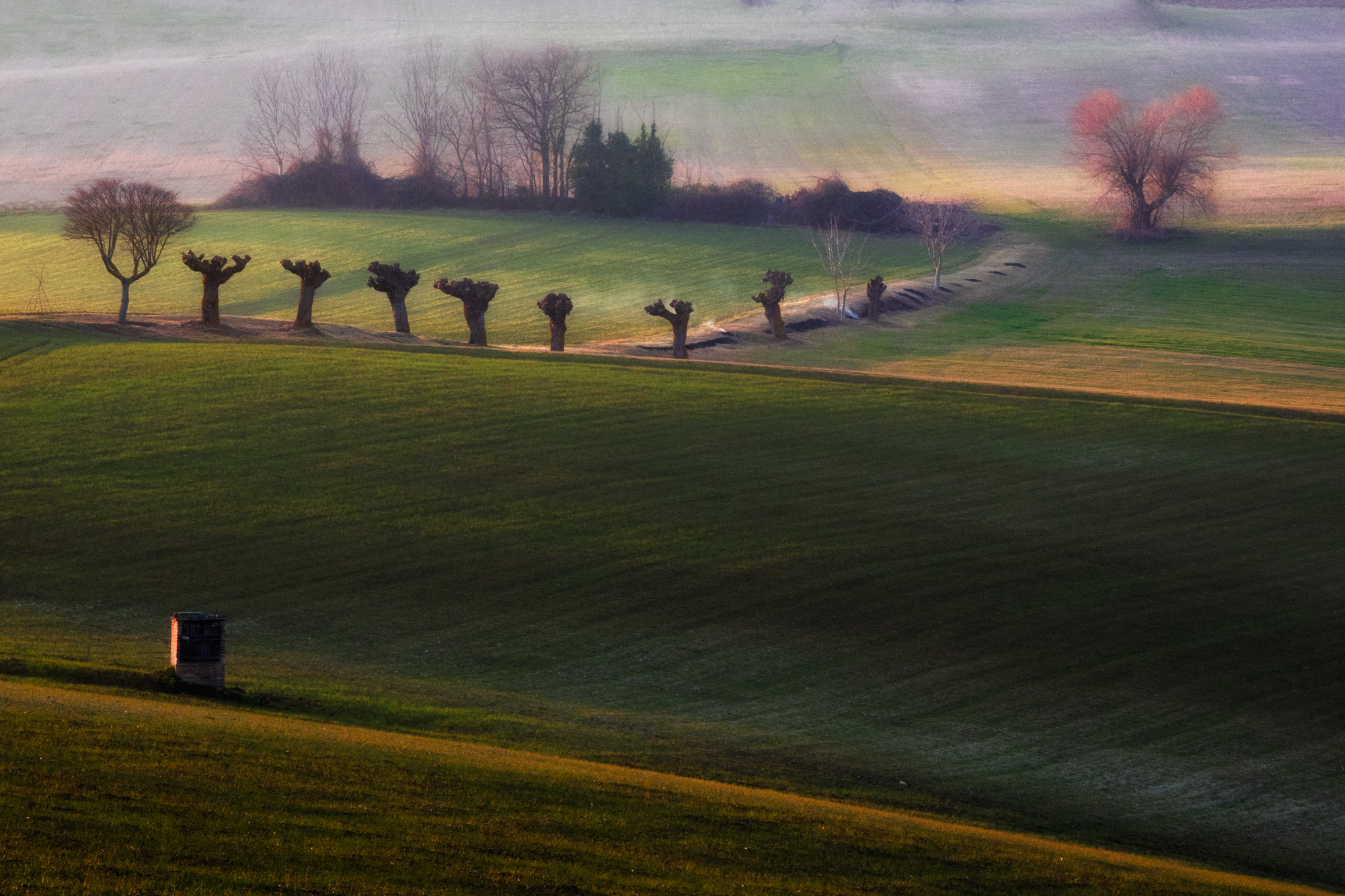 A glimpse of the countryside