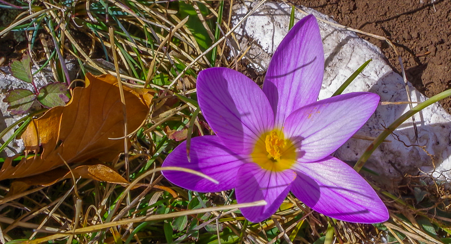 Il bello della natura