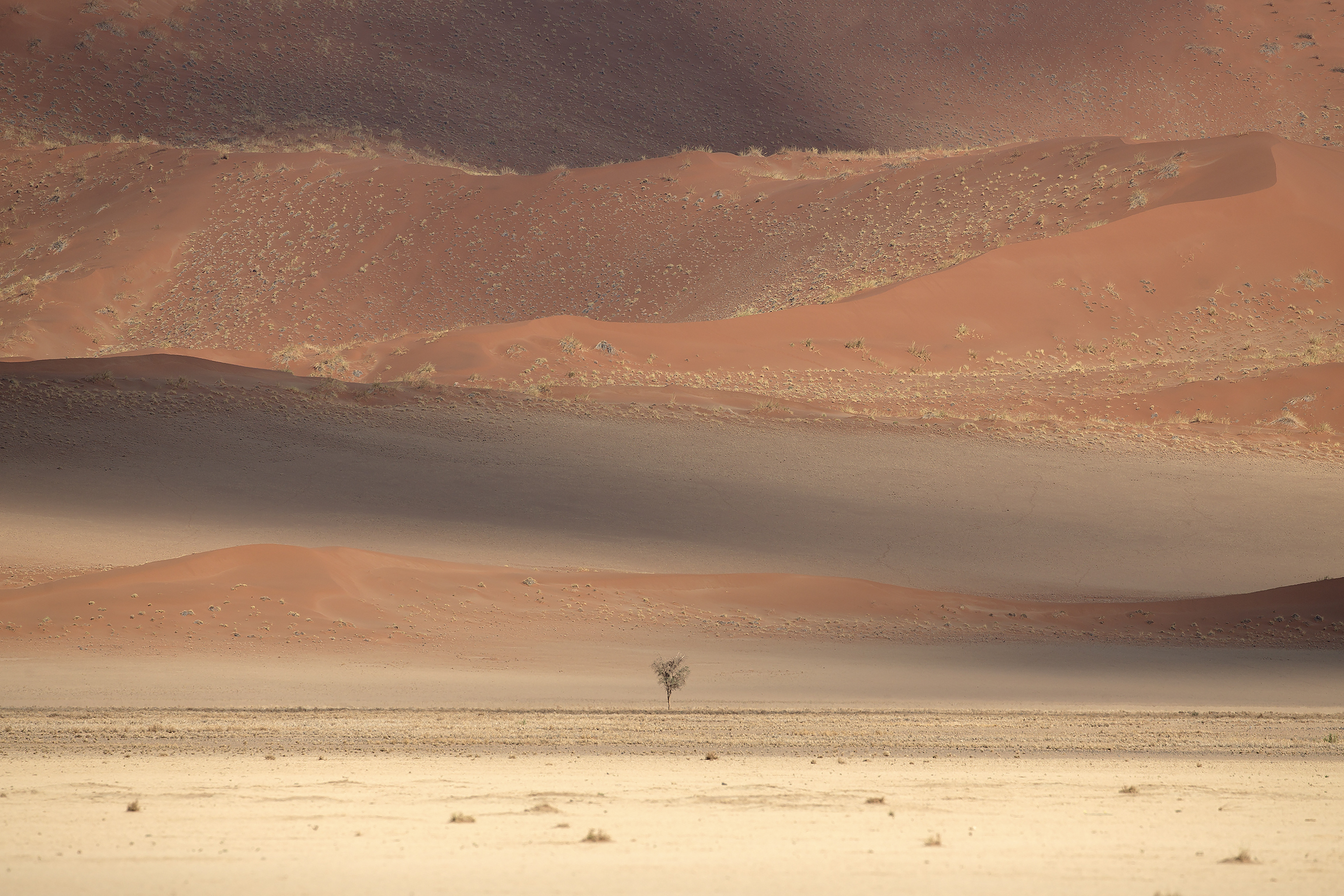 Namib dune