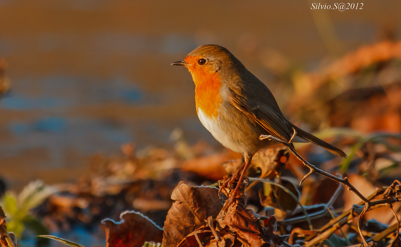 primo sole..scaldiamoci un pò