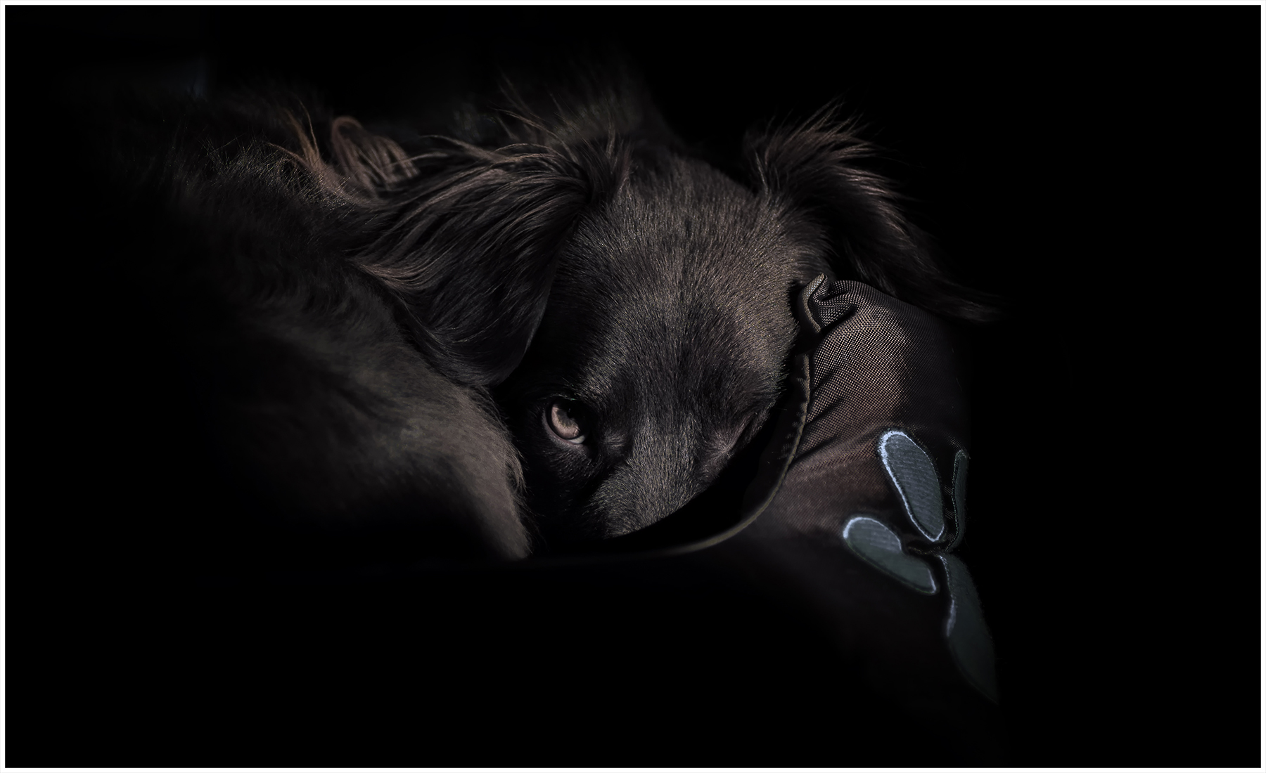 Do Not Disturb please!