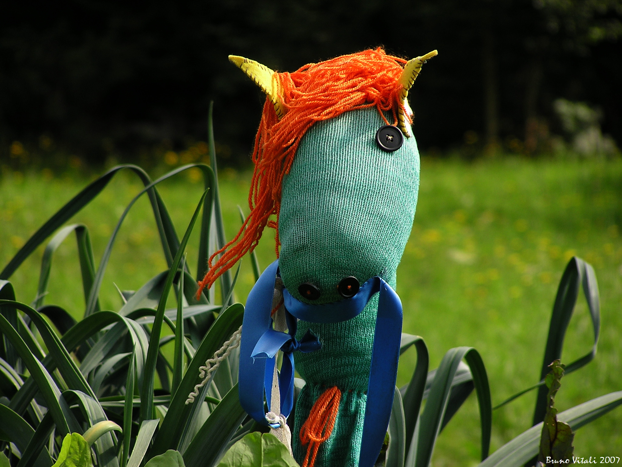 Celledizzo-Scarecrow Horse