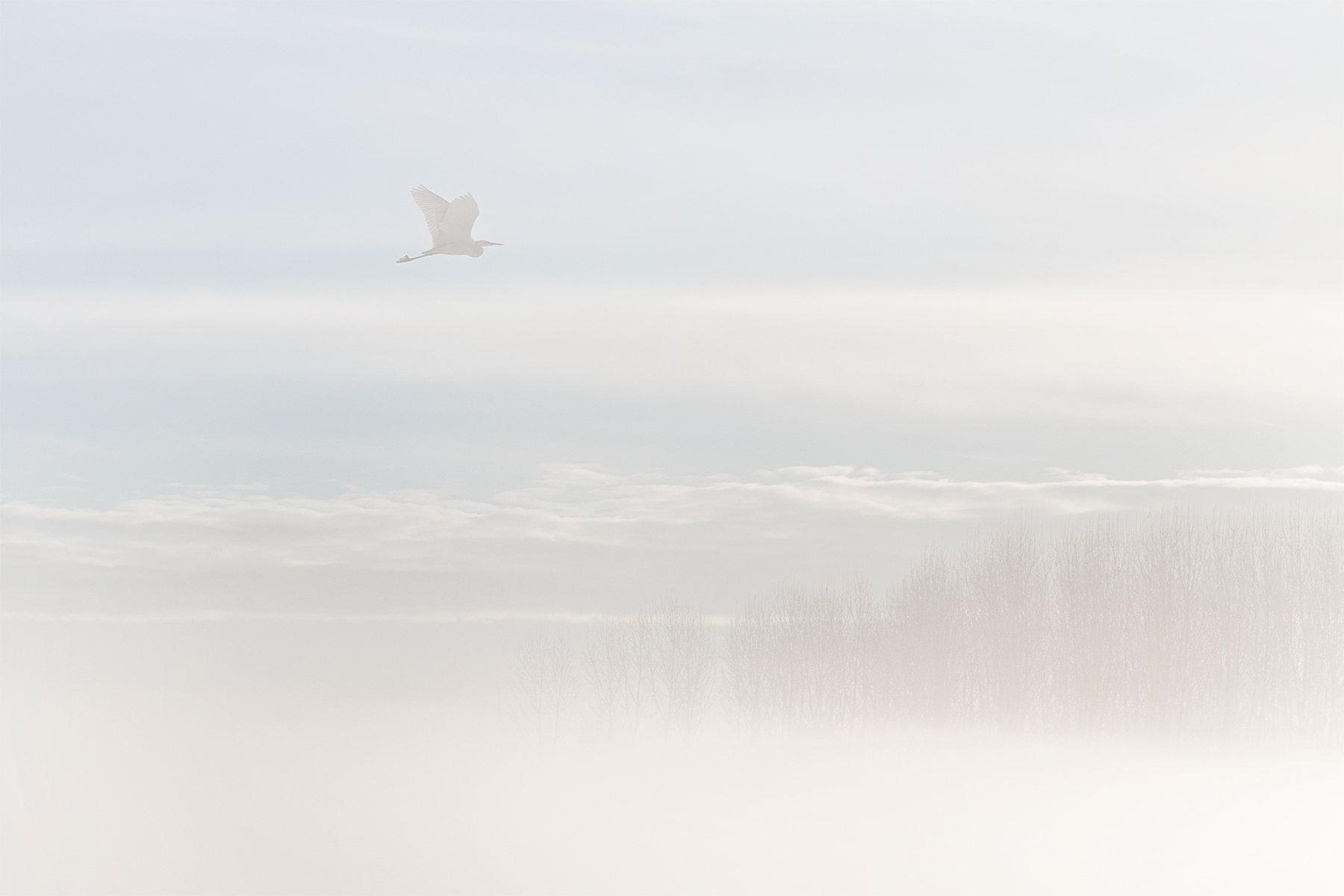 Fly to me, in the golden mist of My Heart