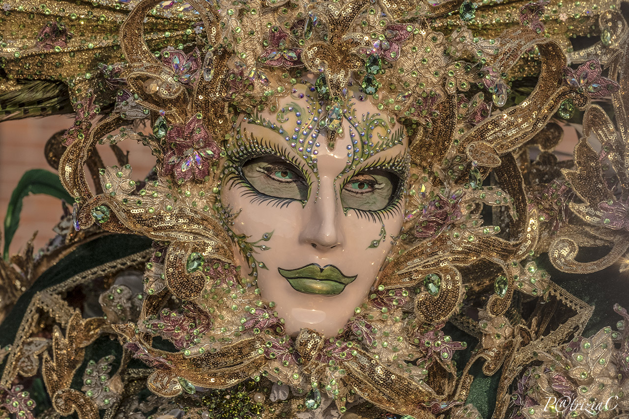__Carnevale Venezia__(1)