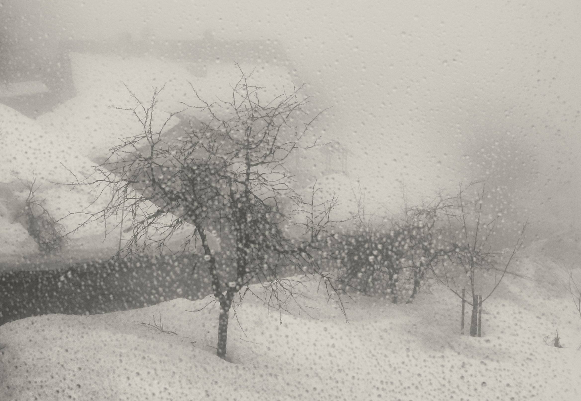 Attraverso la finestra