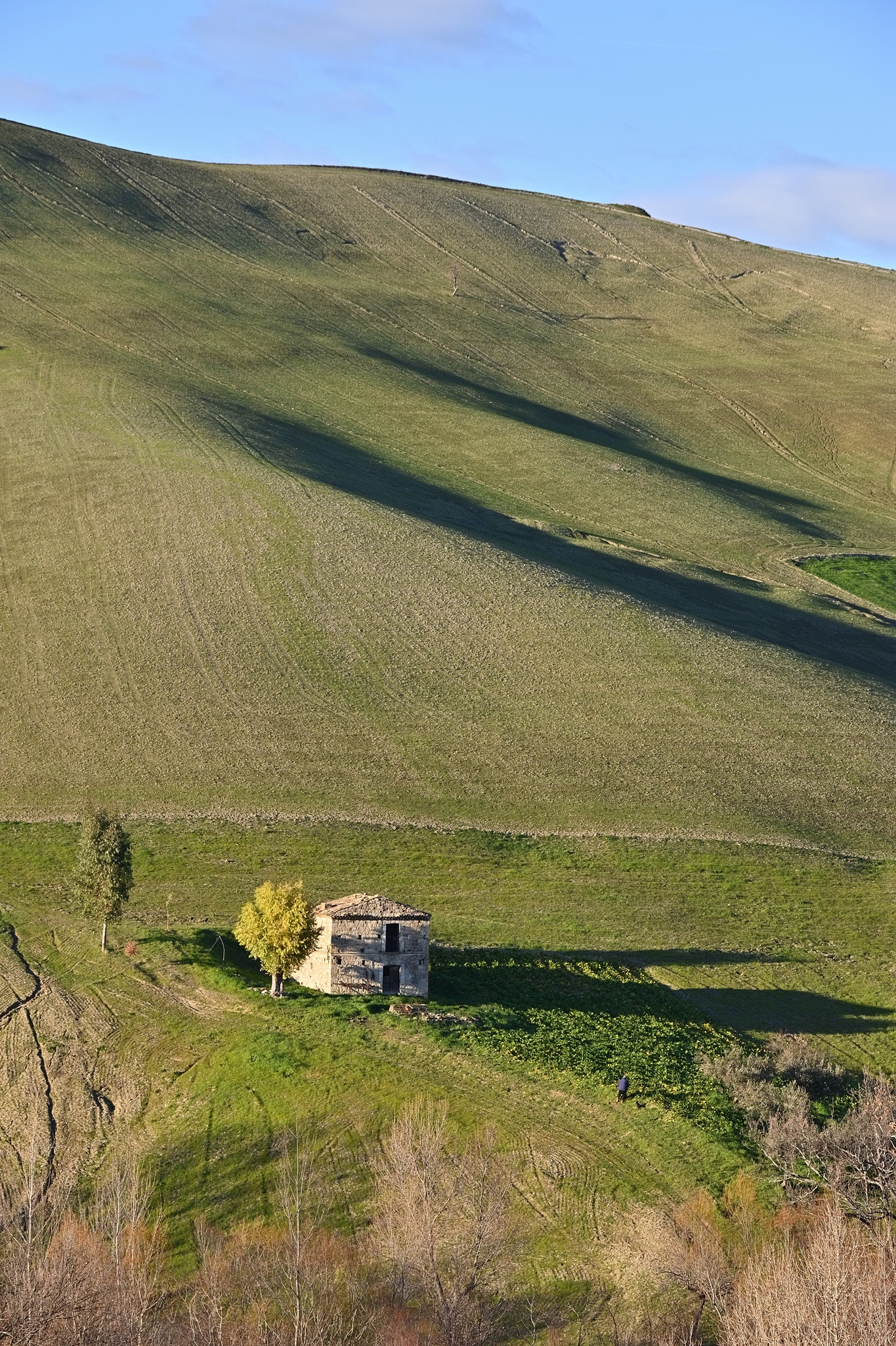 How small is the man