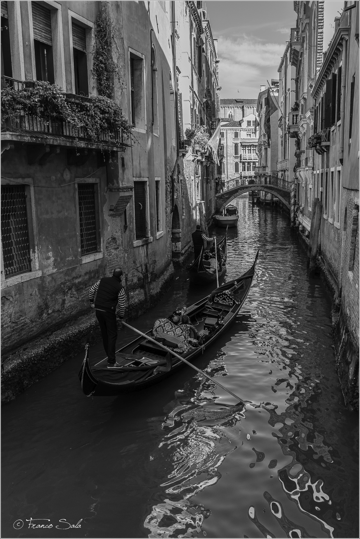 Venetian Glimpse