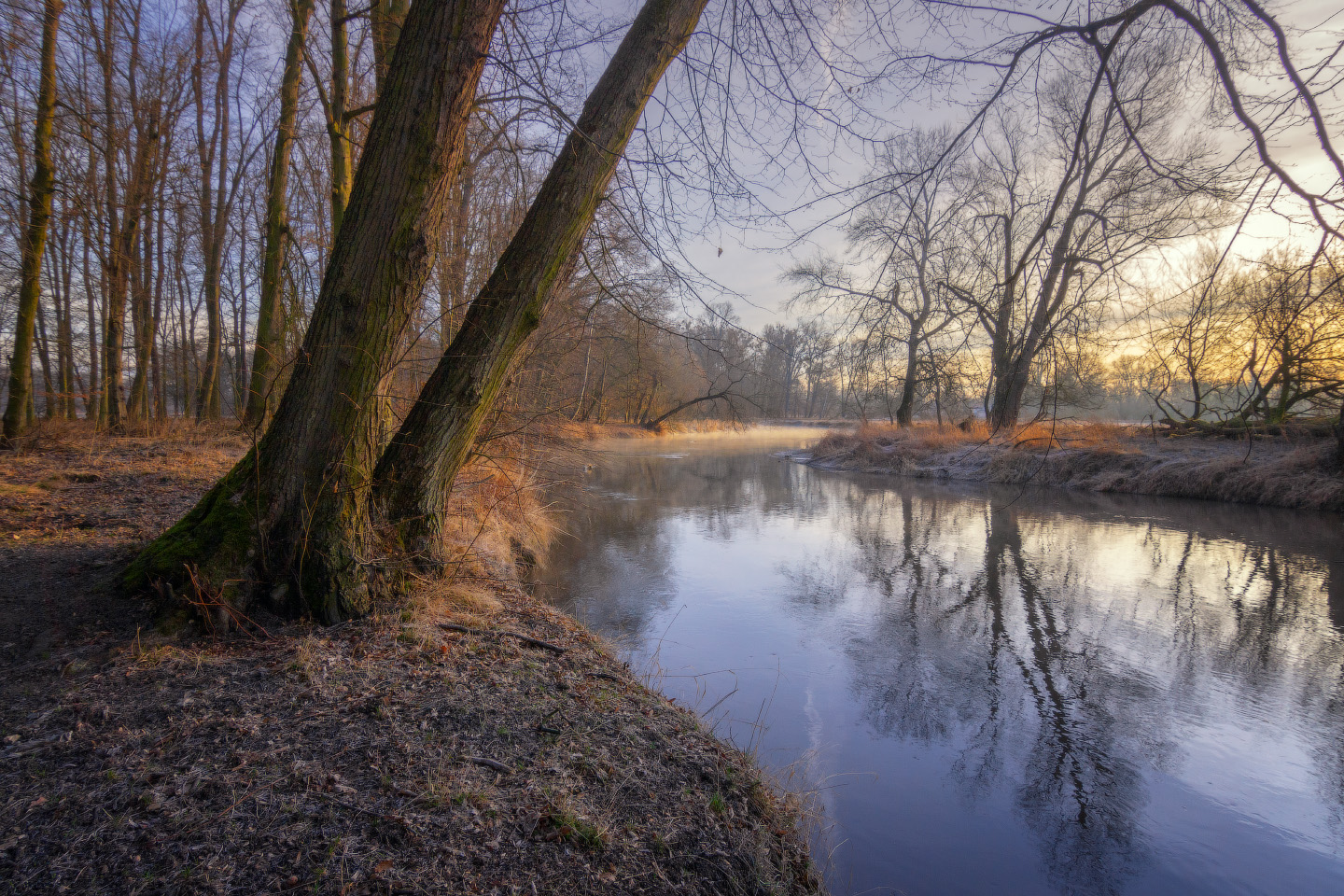 Morning on the river