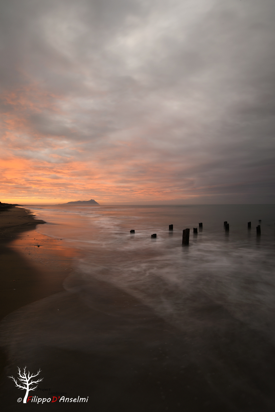 Between Lights and shadows