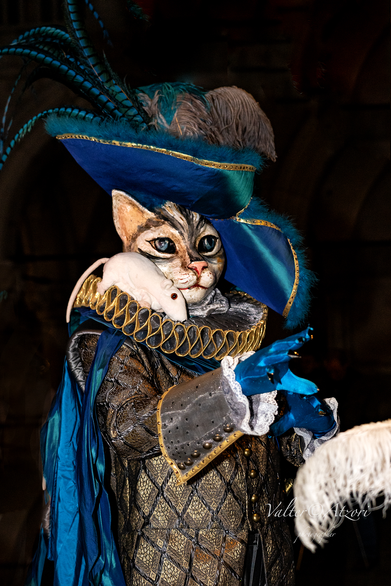 The cat and the mouse