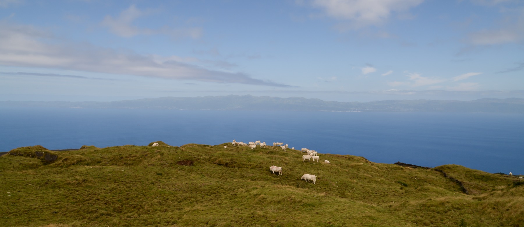 Isola di Pico, Acores