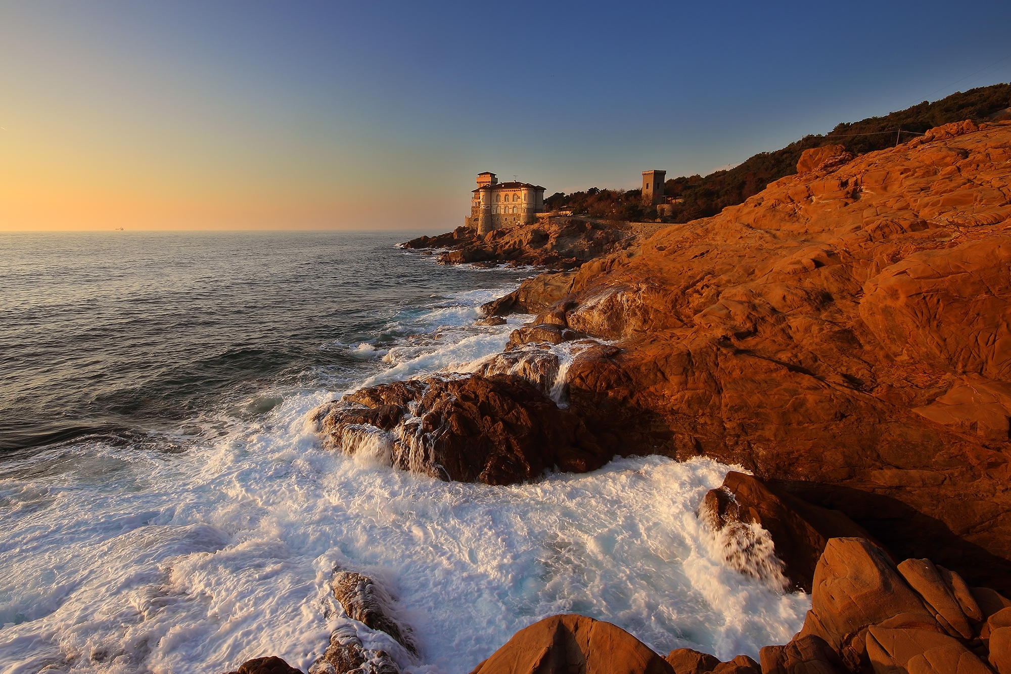 The Expired Cauluria