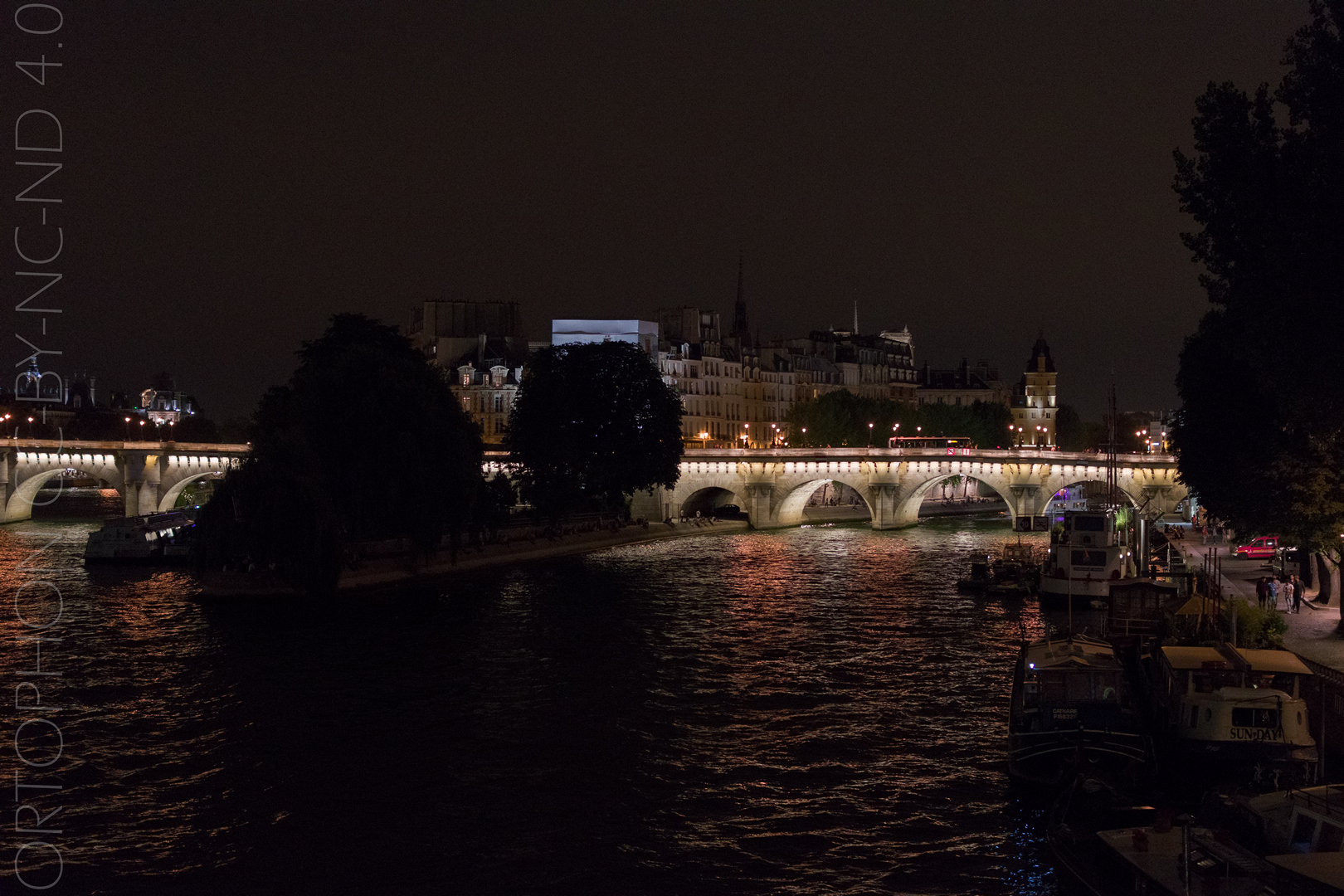 Pont Neuf the Night